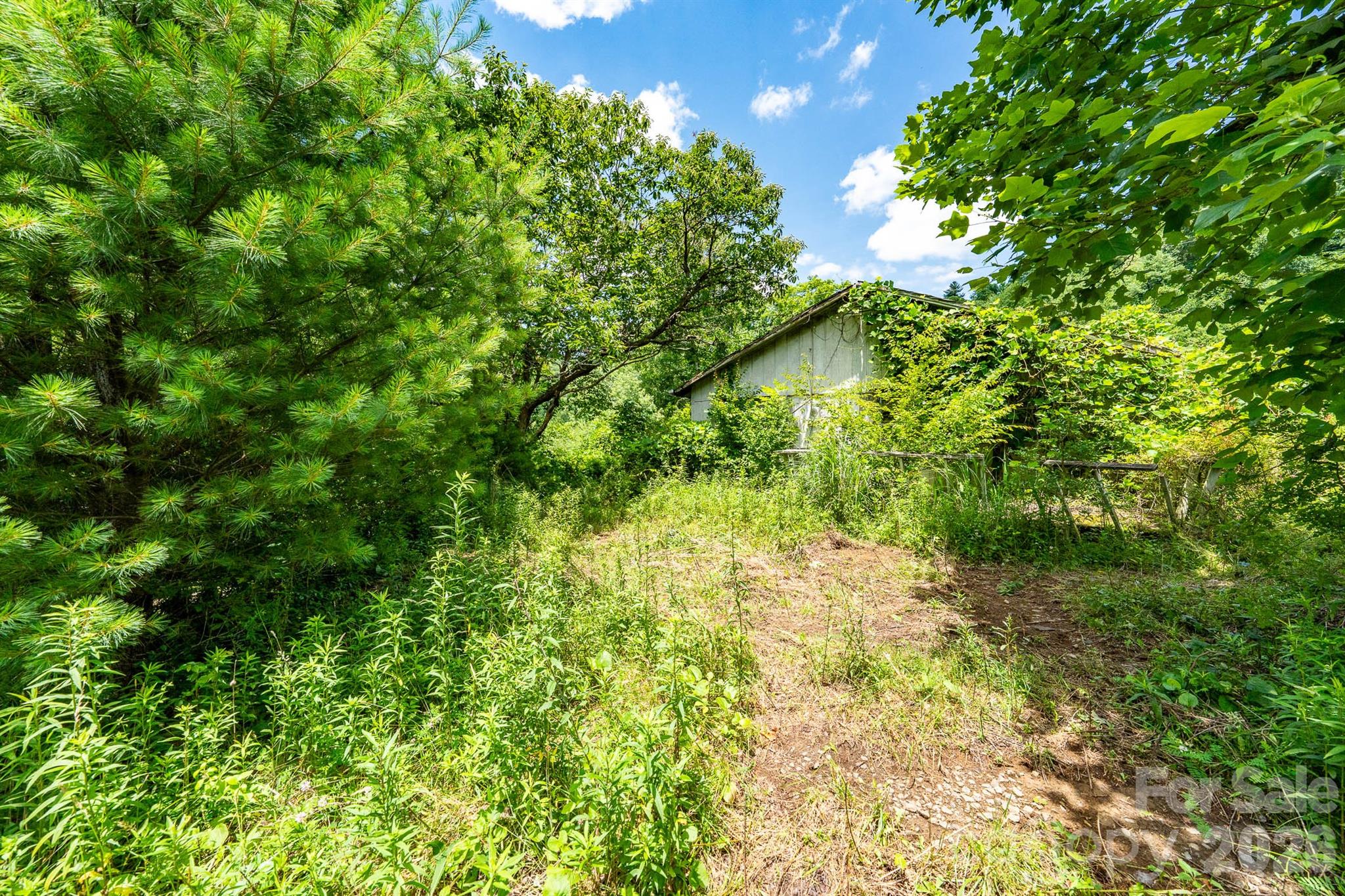 789 Jarrett Cove Road Property Photo 17