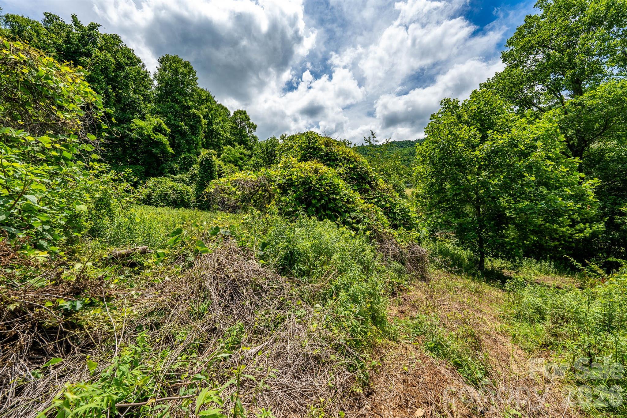 789 Jarrett Cove Road Property Photo 18