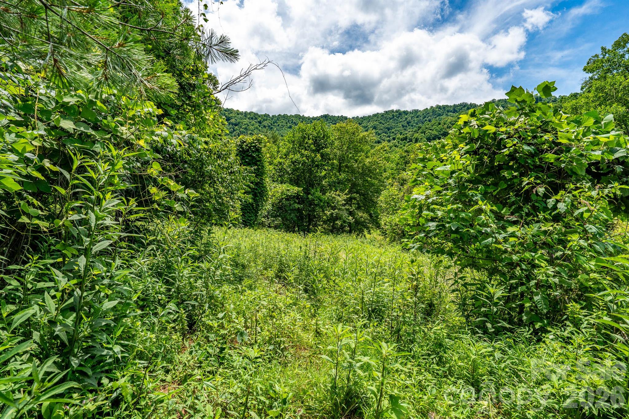 789 Jarrett Cove Road Property Photo 19
