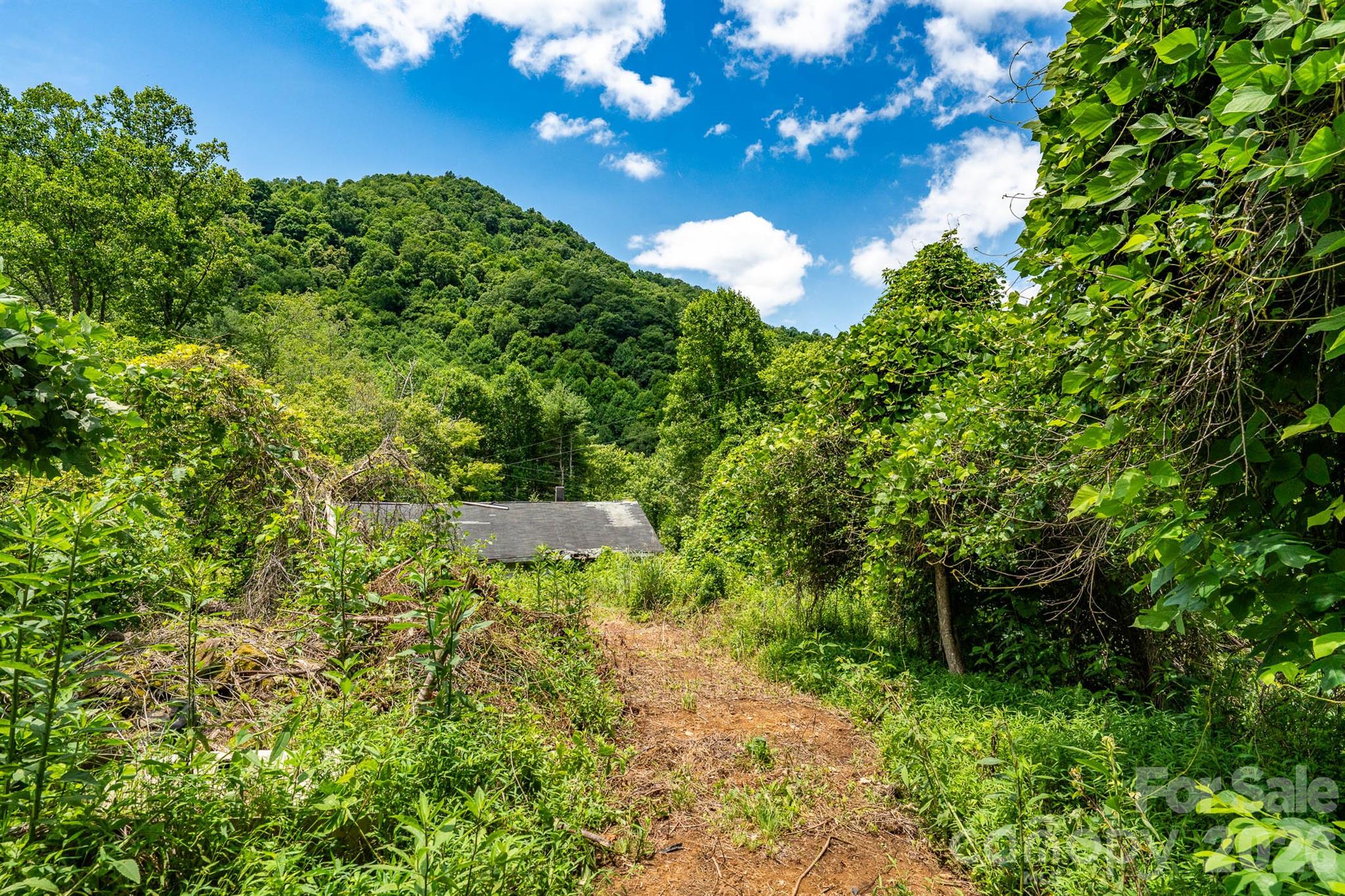 789 Jarrett Cove Road Property Photo 20