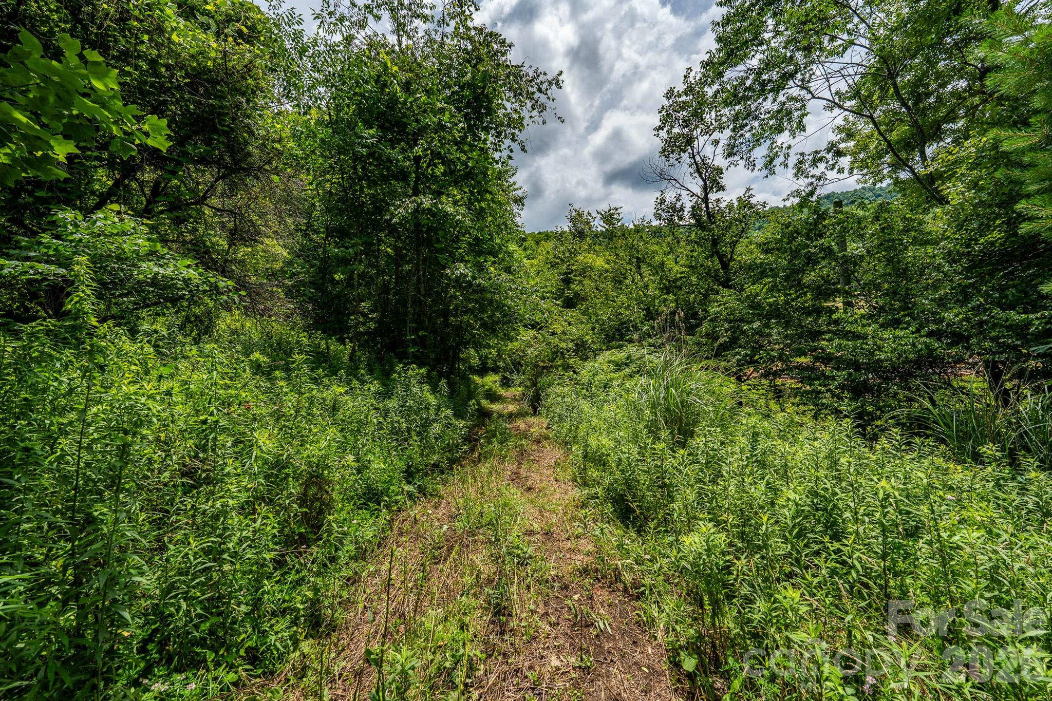 789 Jarrett Cove Road Property Photo 27