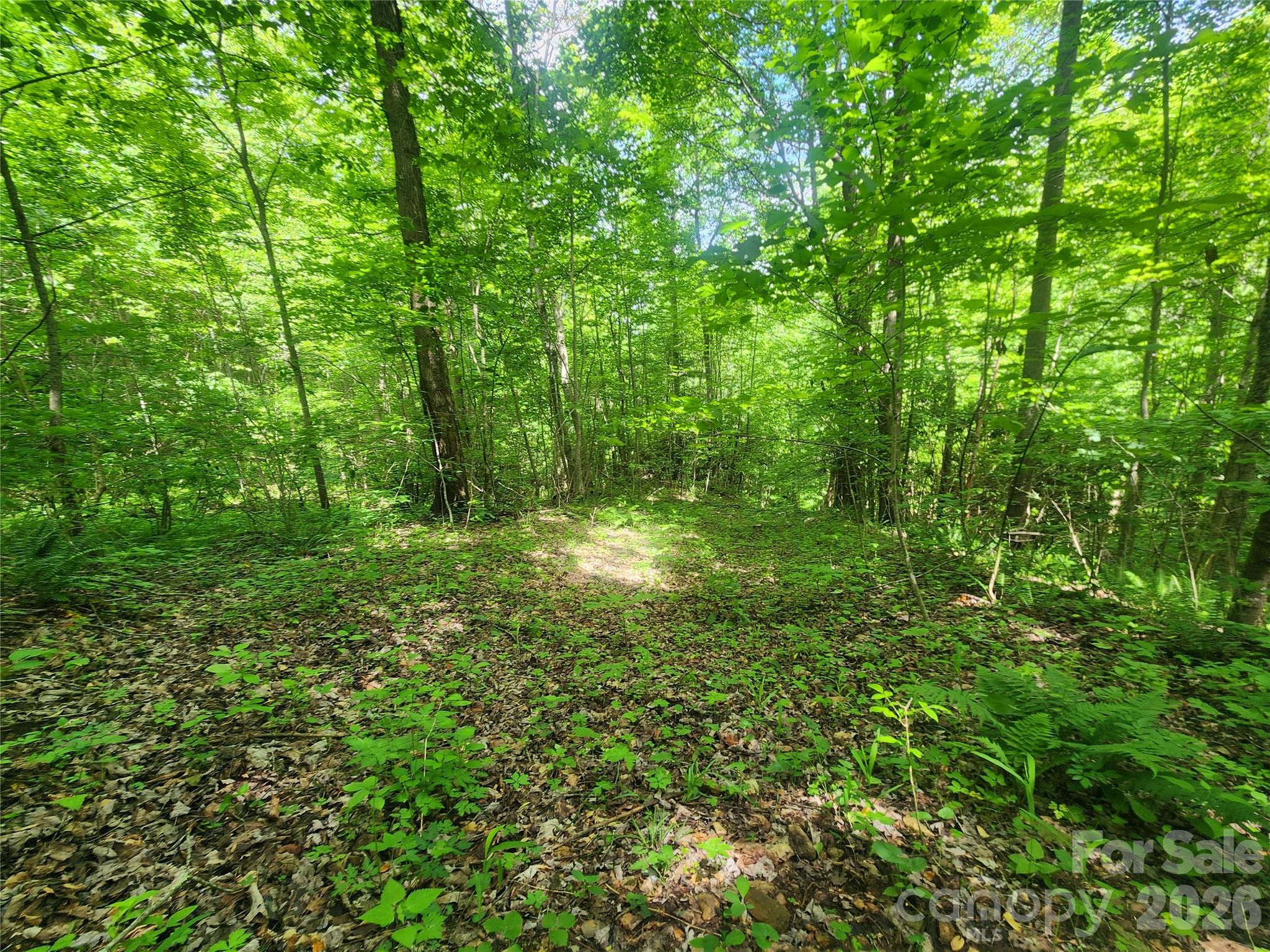789 Jarrett Cove Road Property Photo 31