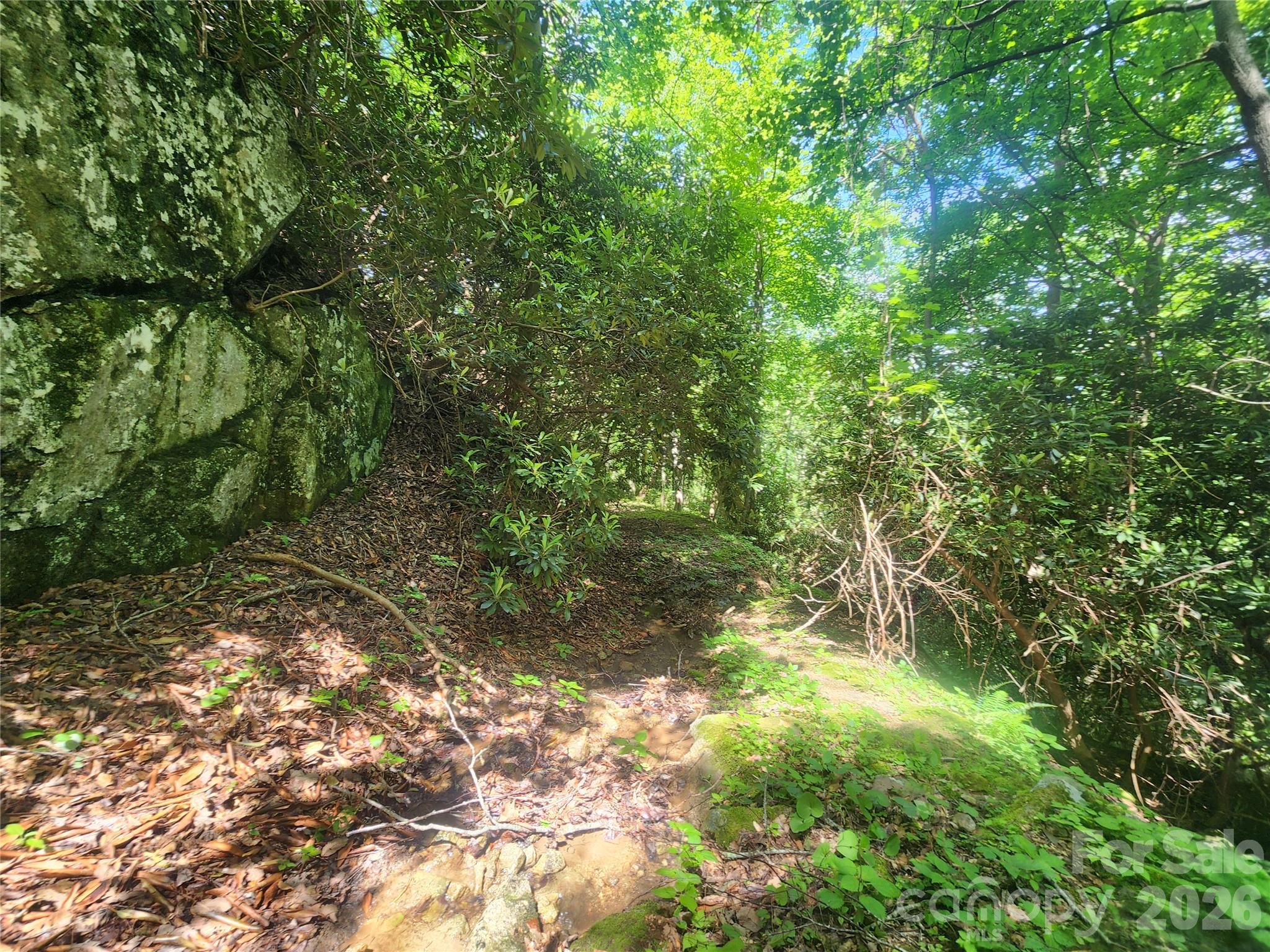 789 Jarrett Cove Road Property Photo 35
