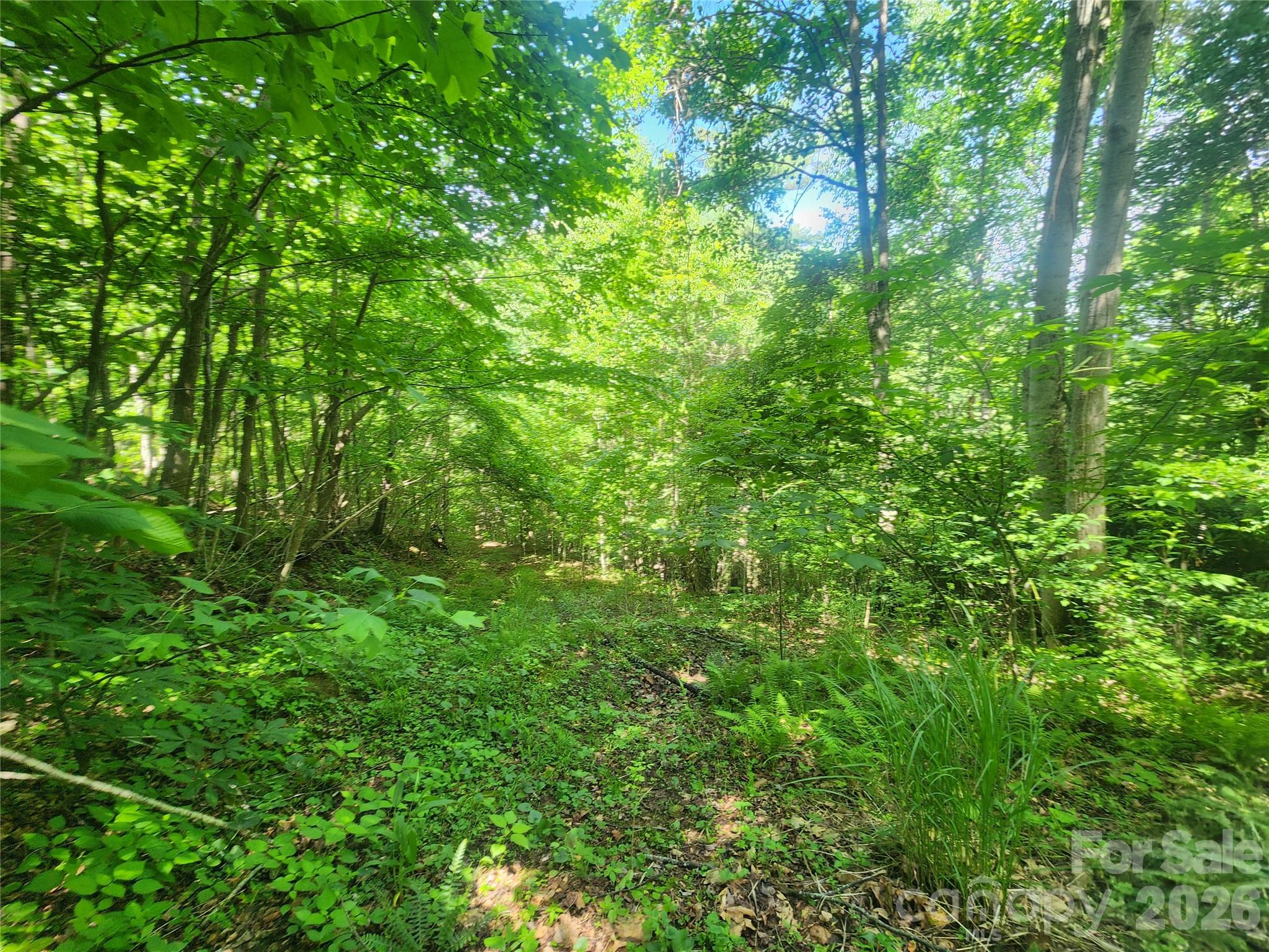 789 Jarrett Cove Road Property Photo 37