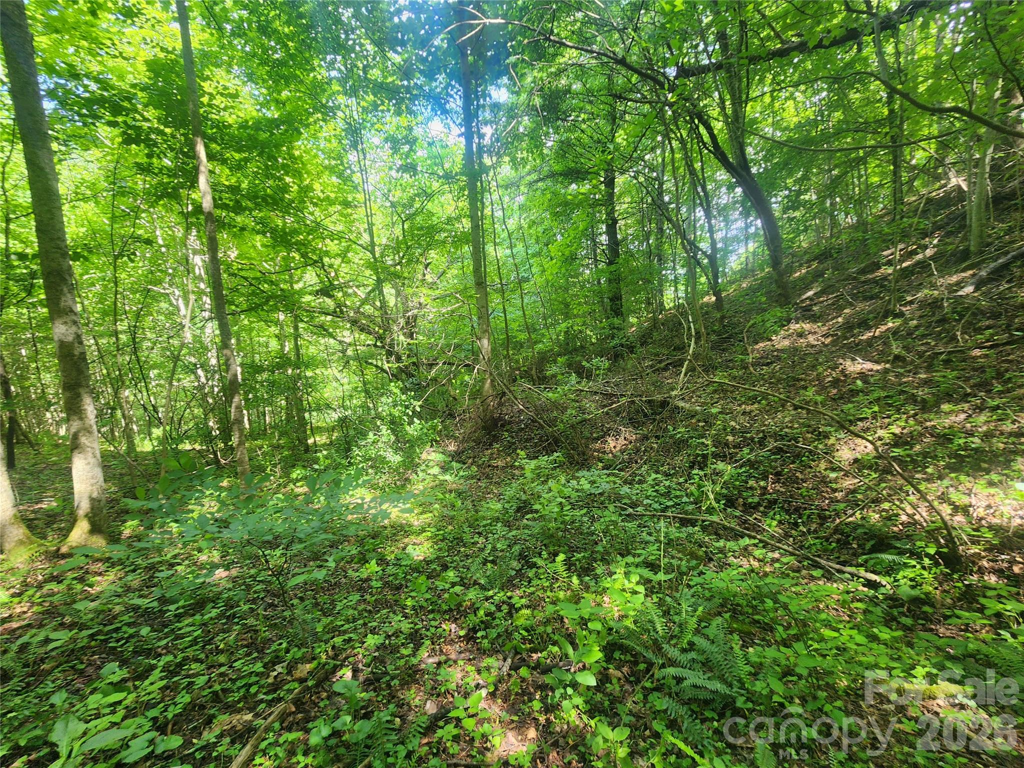 789 Jarrett Cove Road Property Photo 38