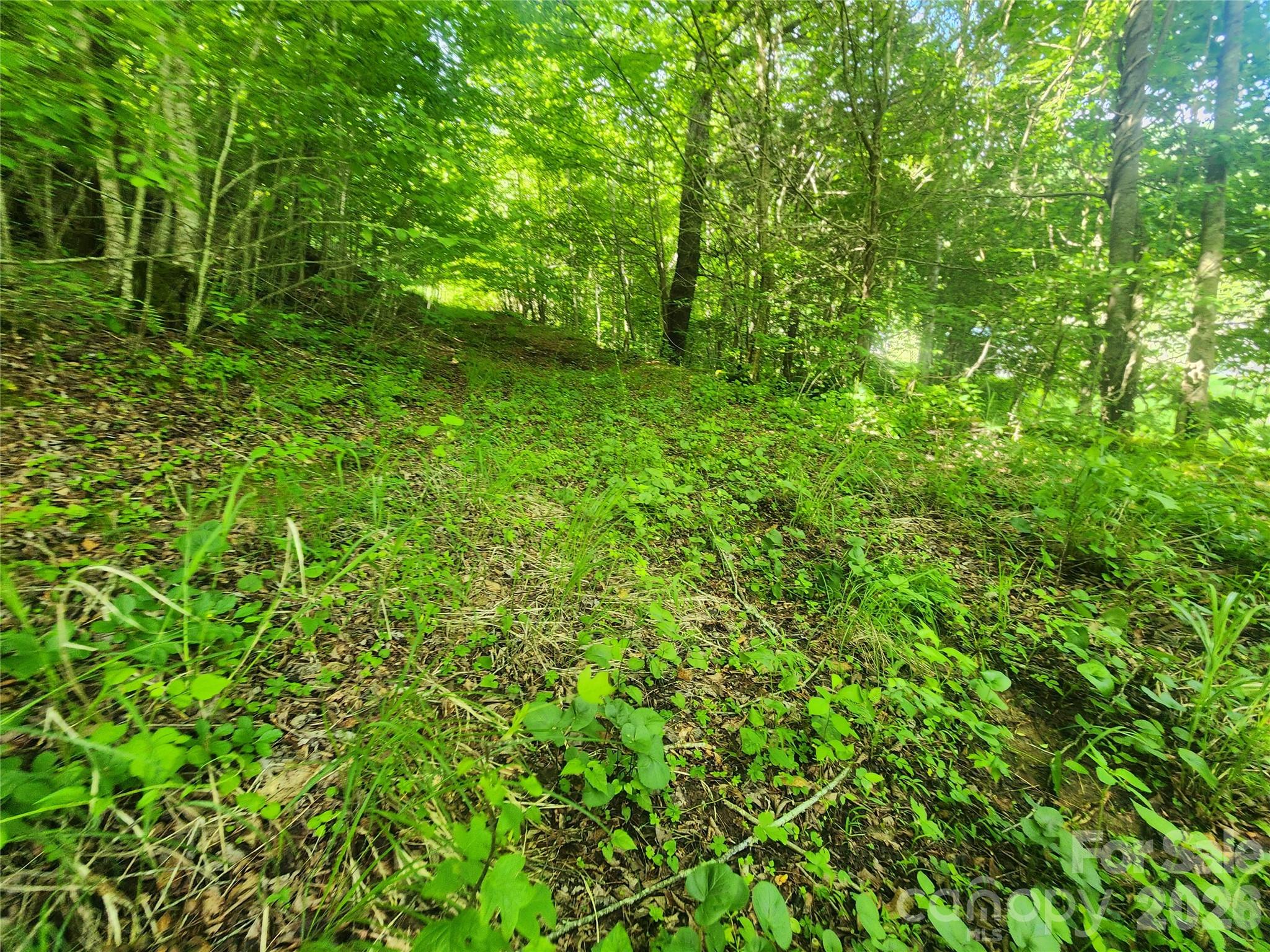 789 Jarrett Cove Road Property Photo 40