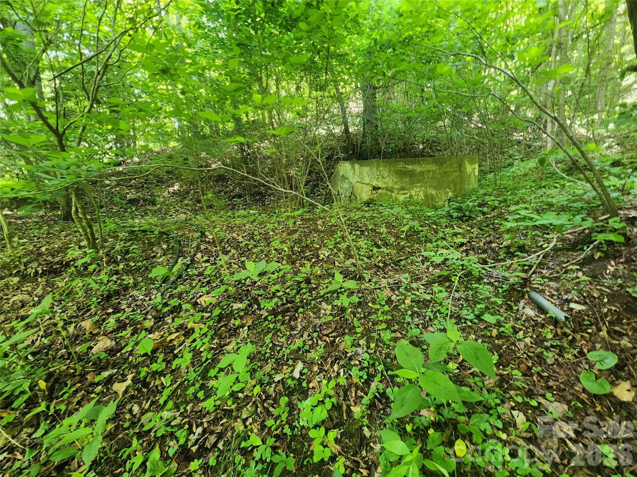 789 Jarrett Cove Road Property Photo 42
