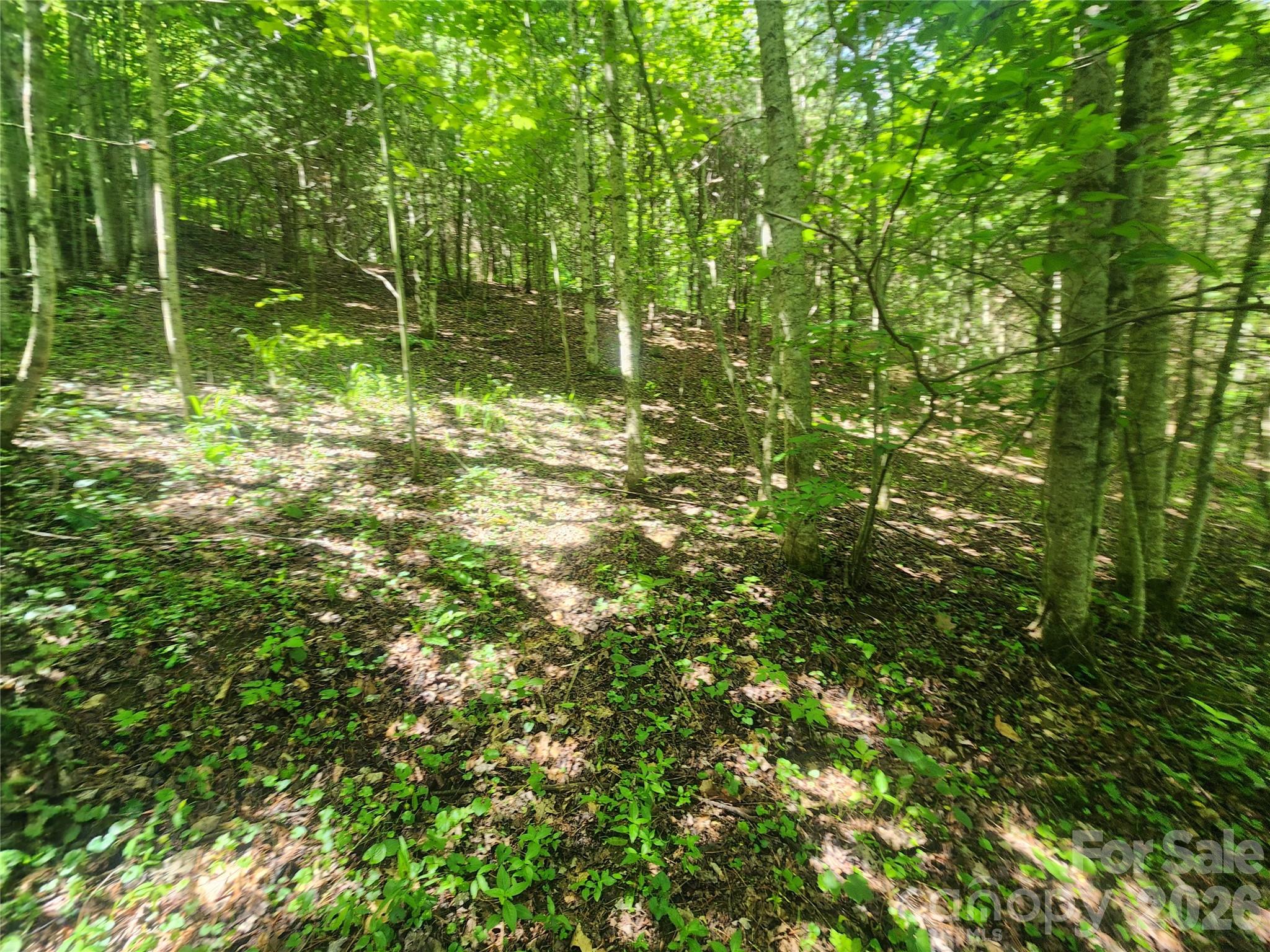 789 Jarrett Cove Road Property Photo 43