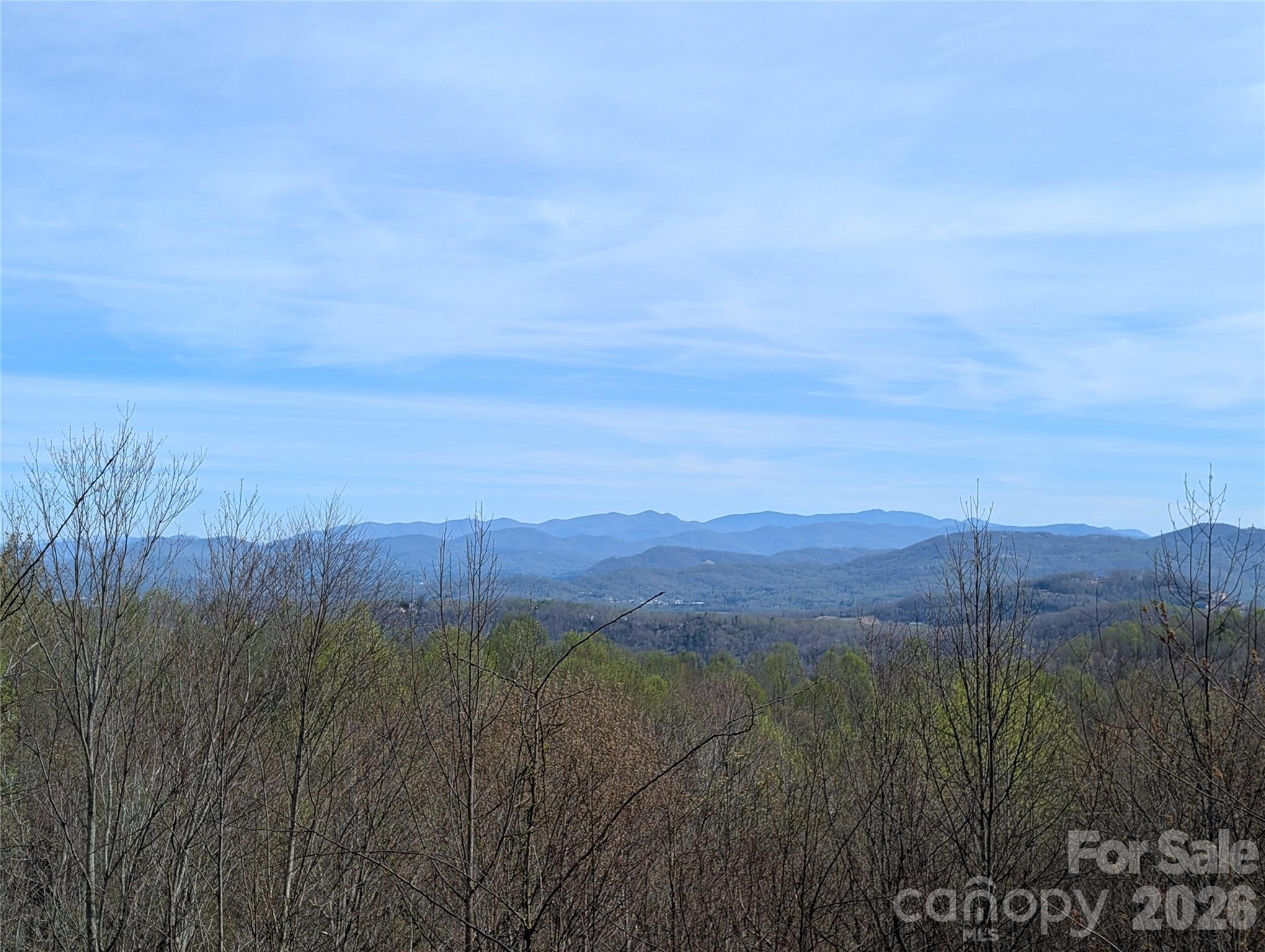 122 Birchwood Drive Property Photo 4