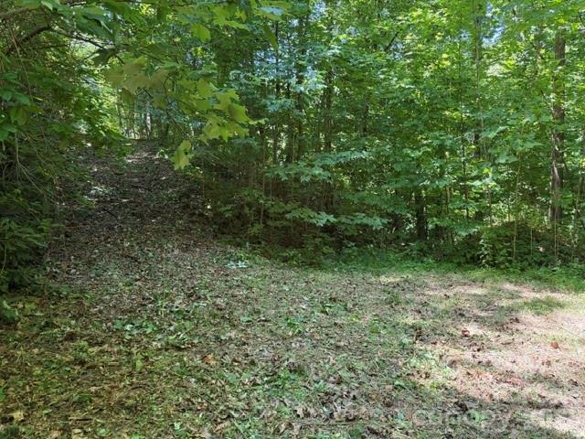 00 Heavenly View Drive Property Photo 1
