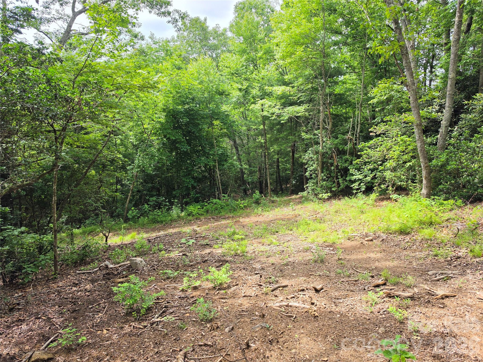 9999 Fairview Forest Drive Property Photo 1