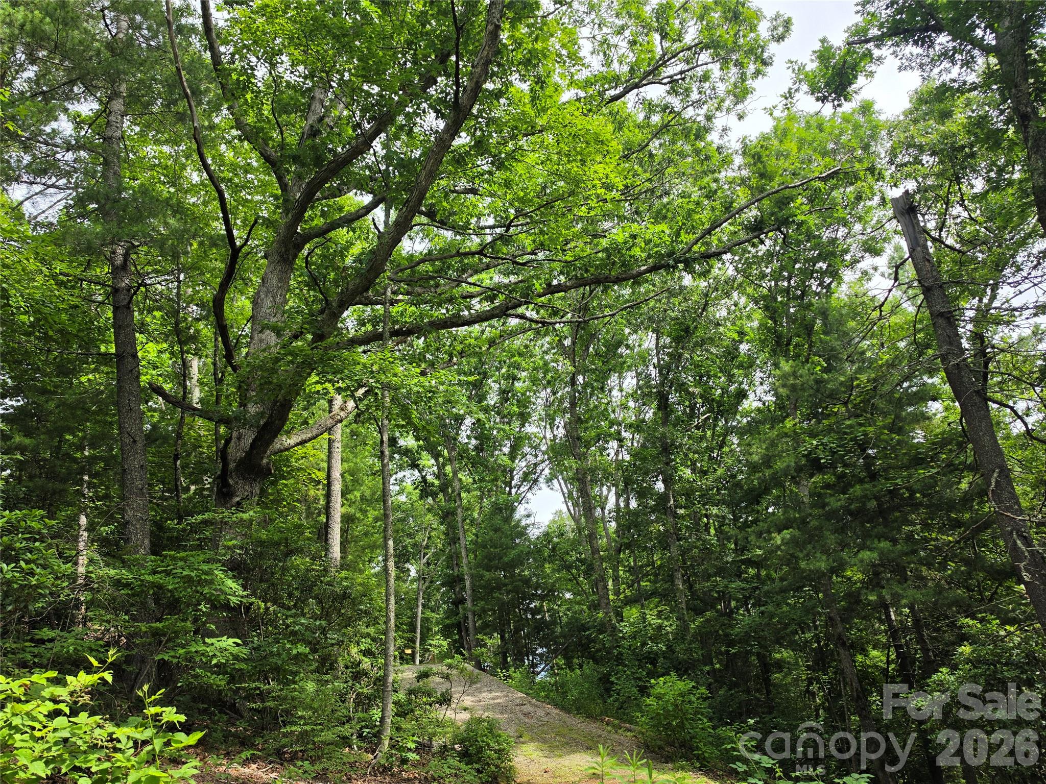 9999 Fairview Forest Drive Property Photo 2