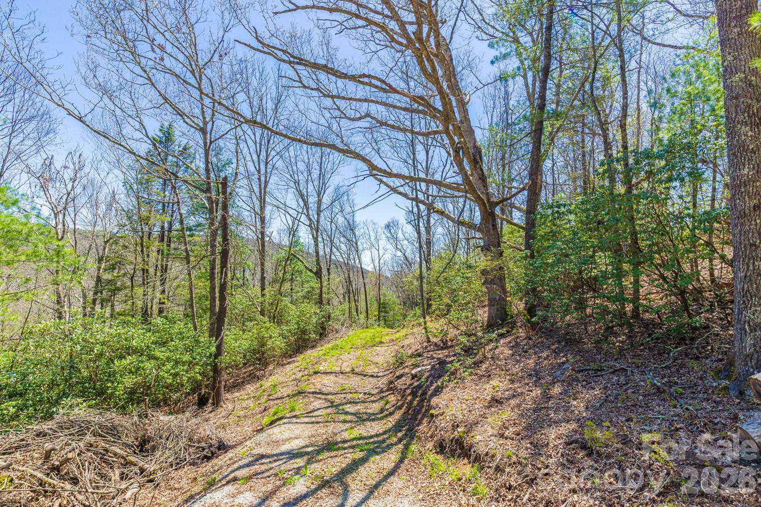 9999 Fairview Forest Drive Property Photo 11
