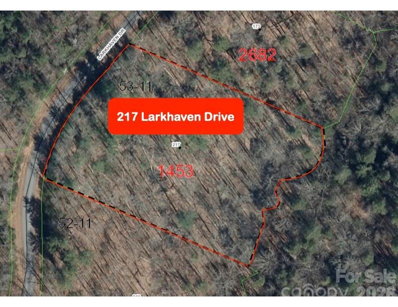 217 Larkhaven Drive 53-11 Property Photo 3