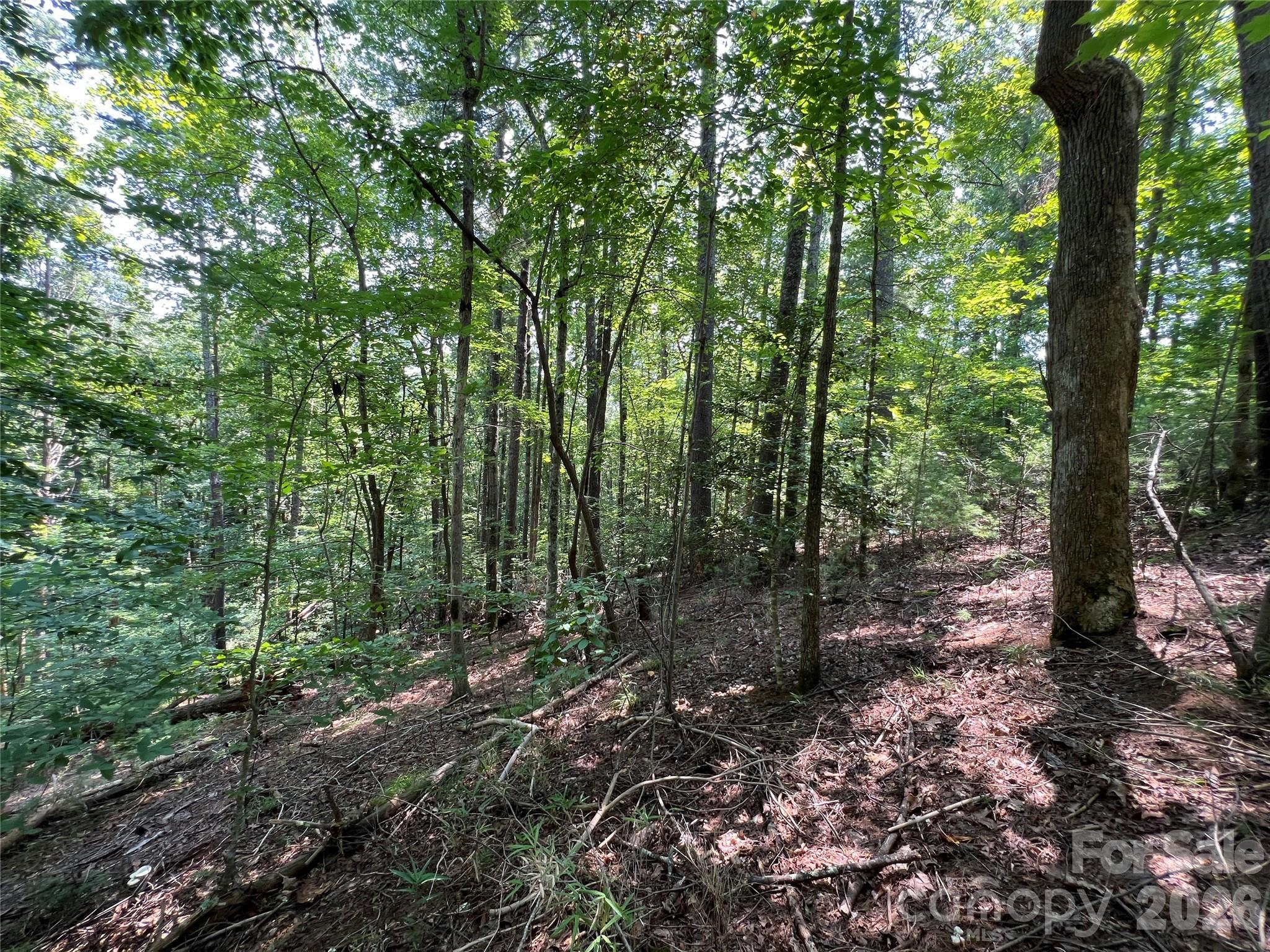 217 Larkhaven Drive 53-11 Property Photo 12