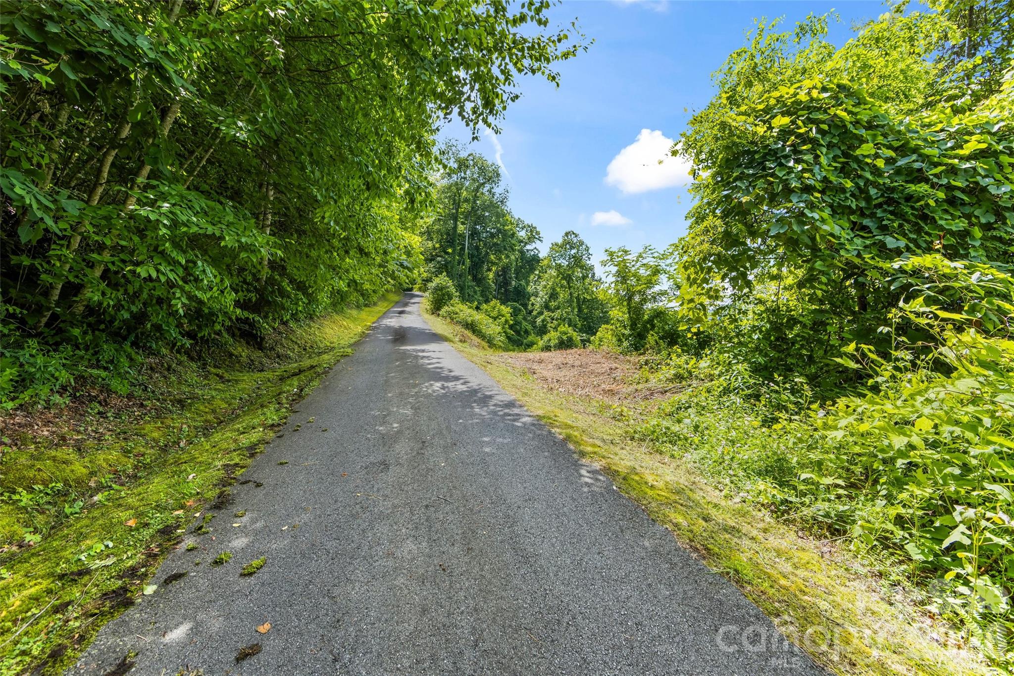 Lot#36 Fern Brook Drive Property Photo 10