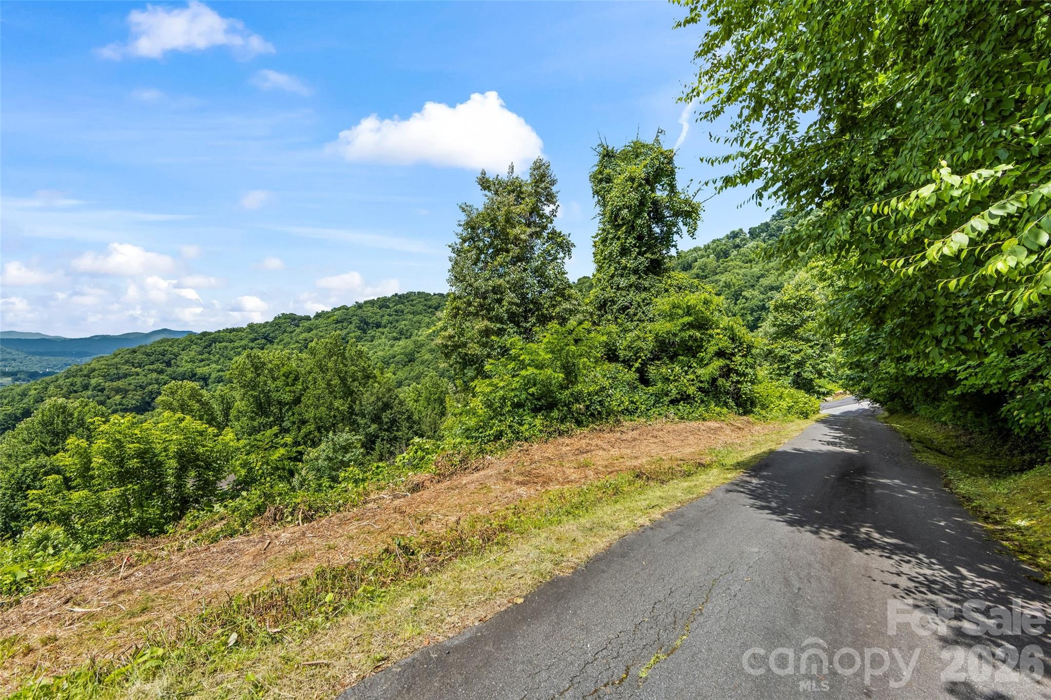 Lot#36 Fern Brook Drive Property Photo 12