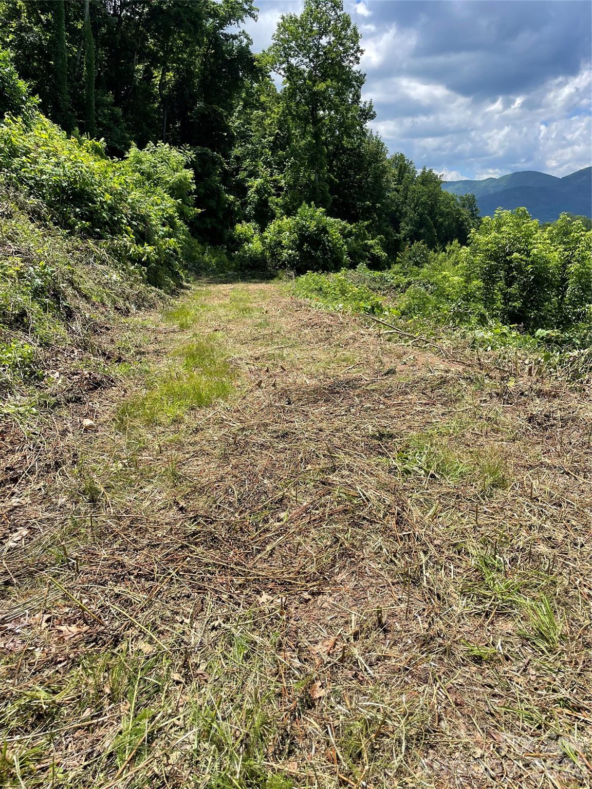 Lot#36 Fern Brook Drive Property Photo 15