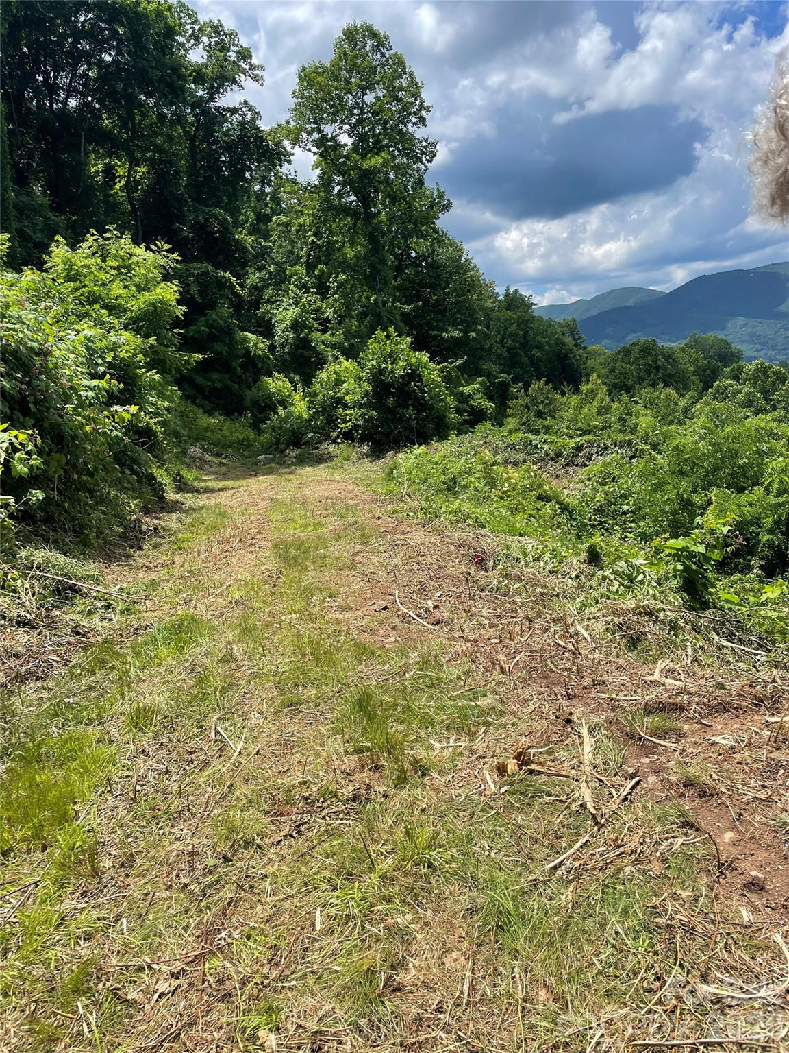 Lot#36 Fern Brook Drive Property Photo 16