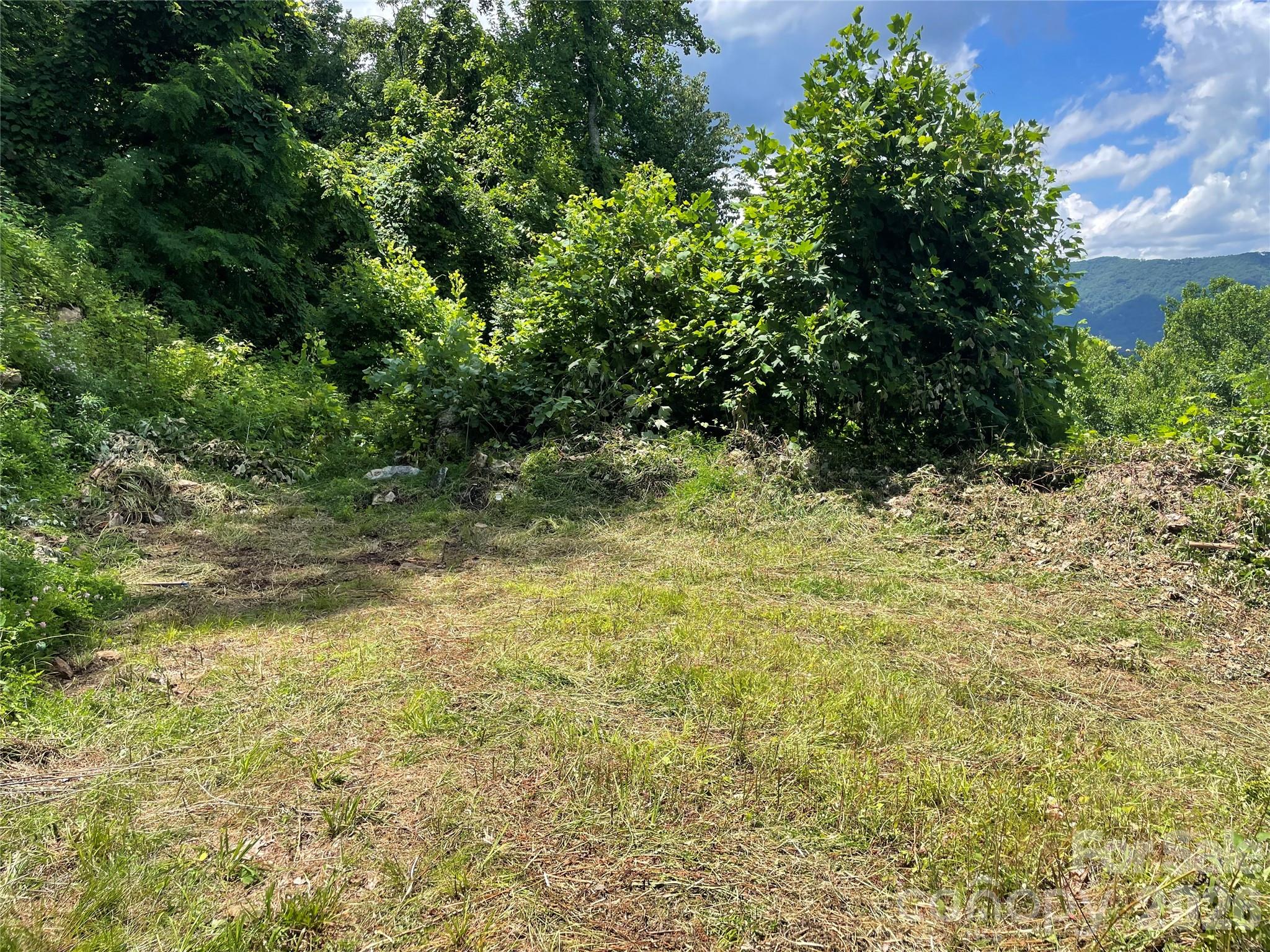 Lot#36 Fern Brook Drive Property Photo 17