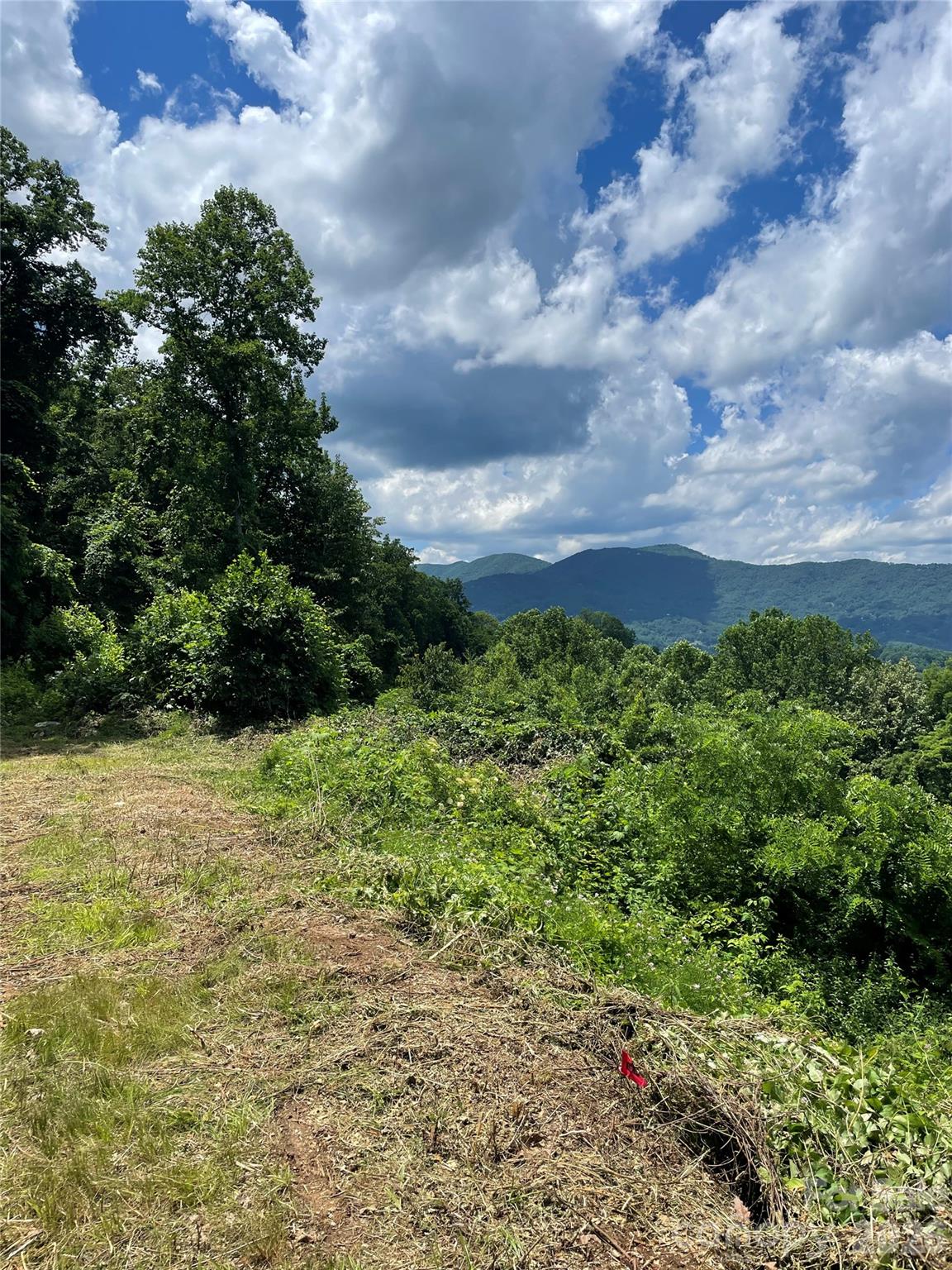 Lot#36 Fern Brook Drive Property Photo 18