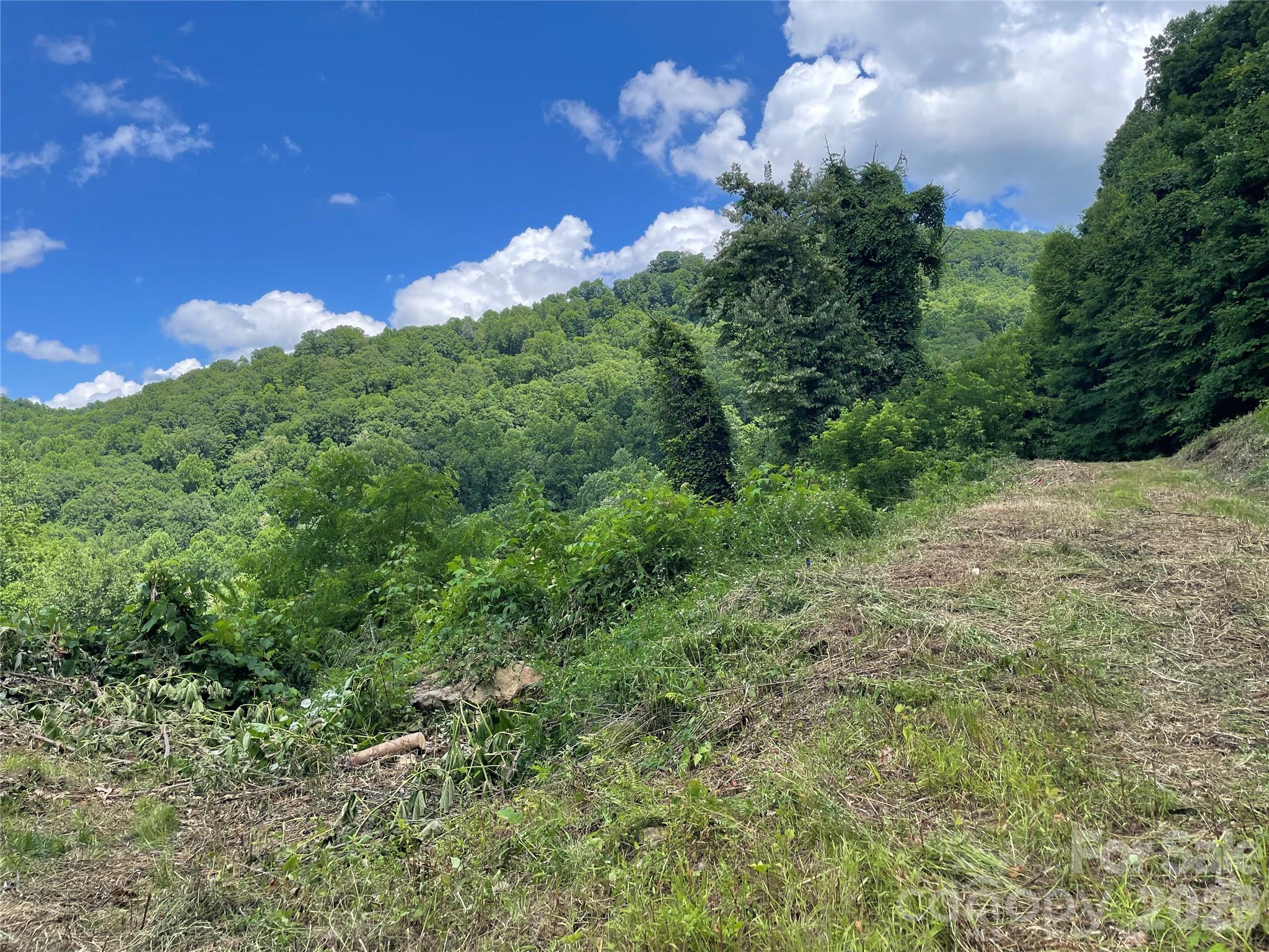 Lot#36 Fern Brook Drive Property Photo 21