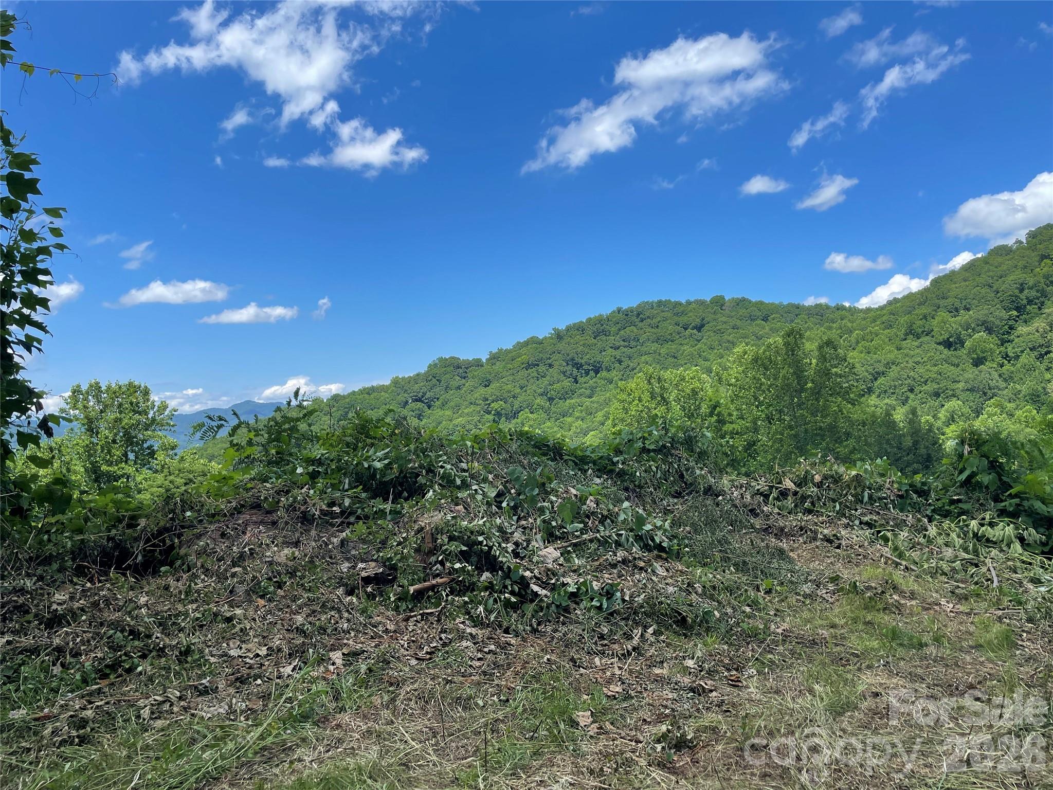 Lot#36 Fern Brook Drive Property Photo 22