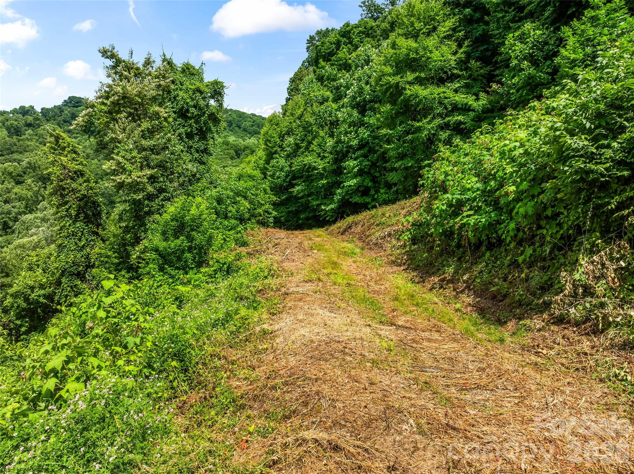 Lot#36 Fern Brook Drive Property Photo 25