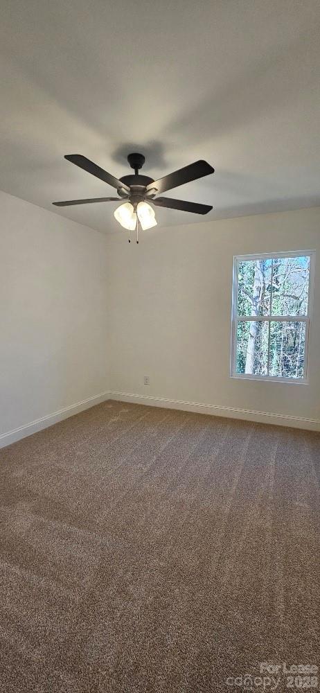 382 W Moore Avenue A Property Photo 17