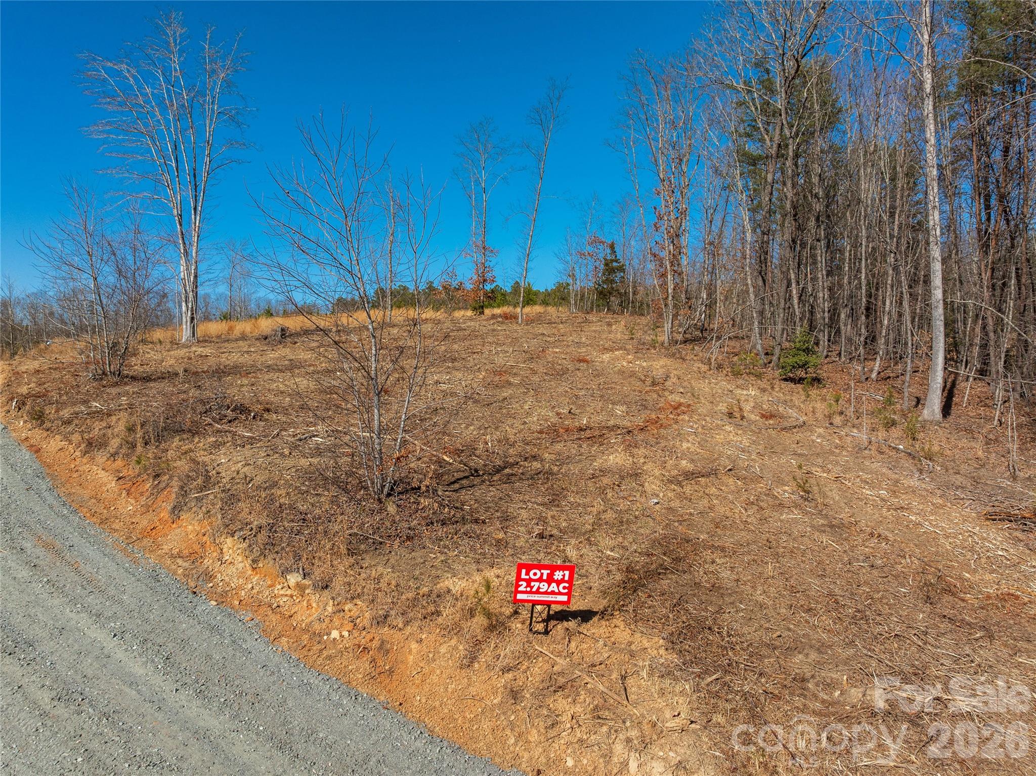 Lot #1 Price Summit Way Property Photo 4