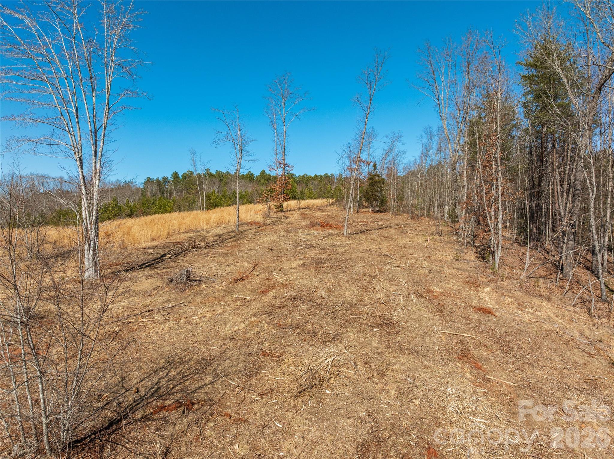 Lot #1 Price Summit Way Property Photo 13