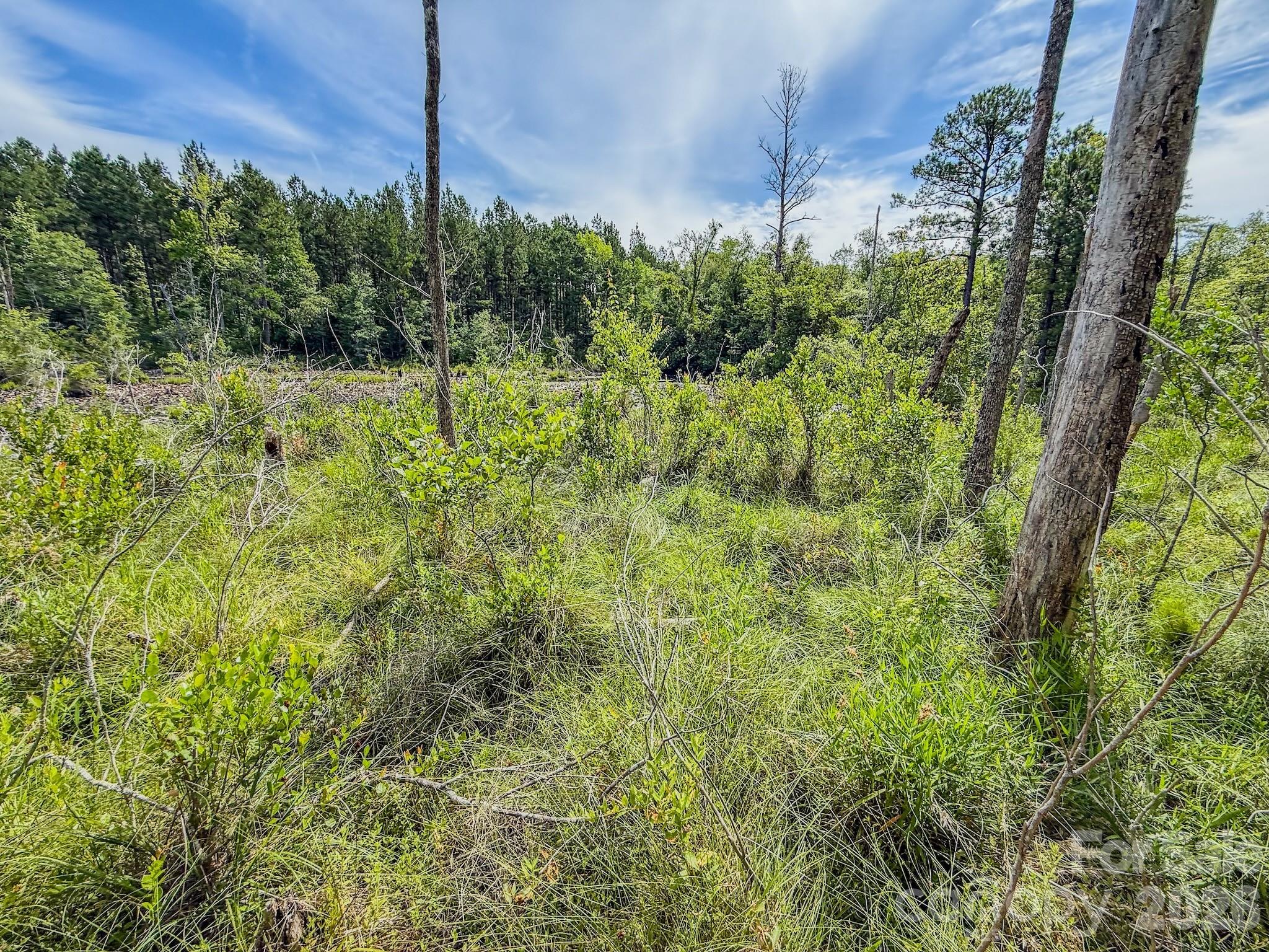 0 Hwy 1 Highway Property Photo 11