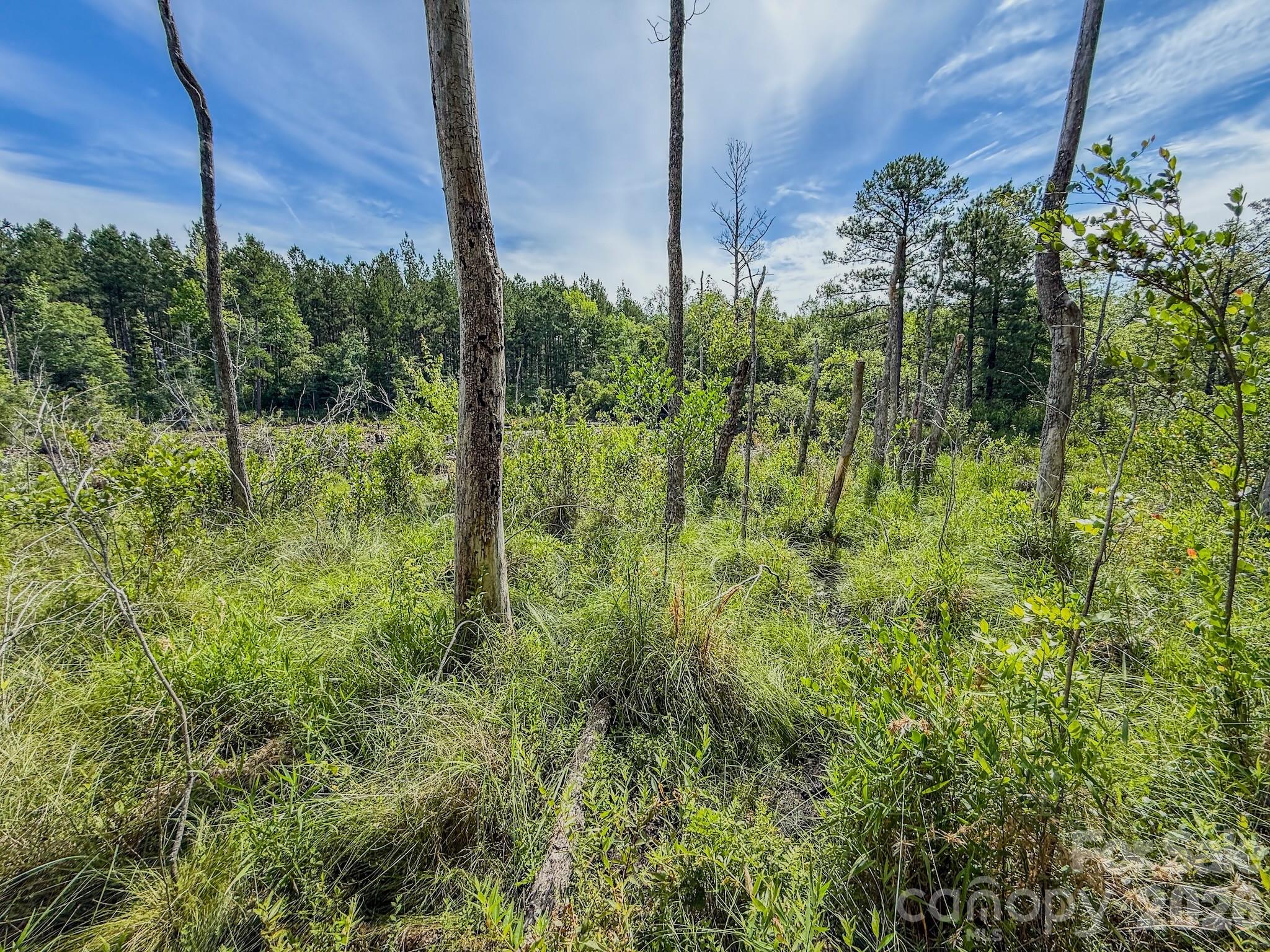 0 Hwy 1 Highway Property Photo 12