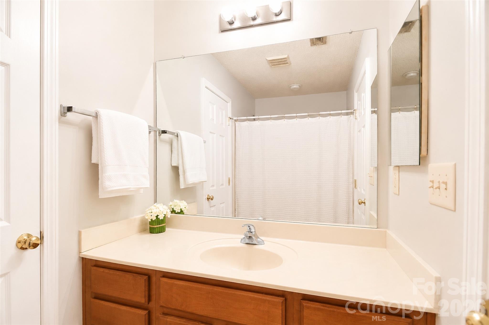 10618 Pointed Leaf Court Property Photo 12