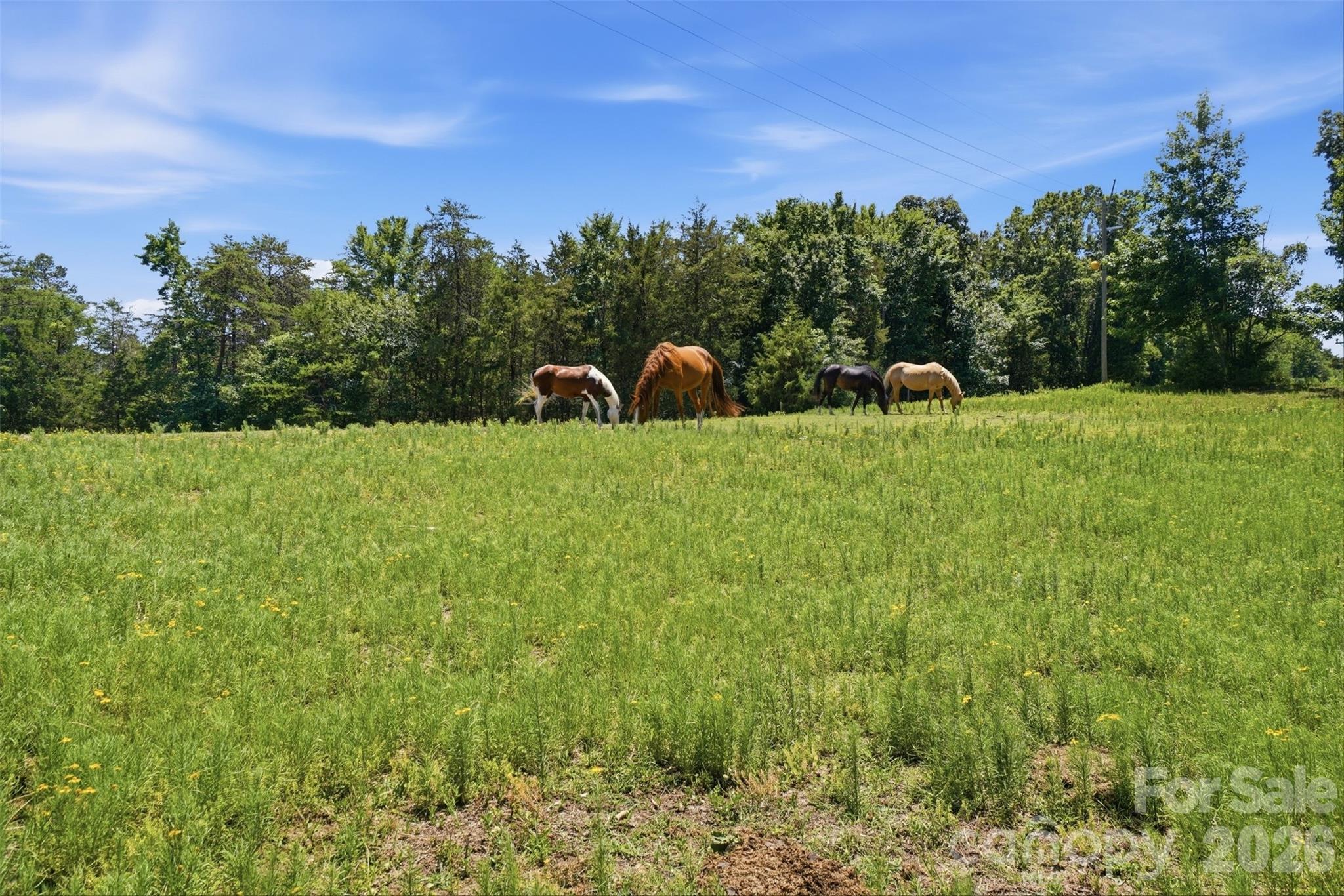 5835 Kreps Road Property Photo 14