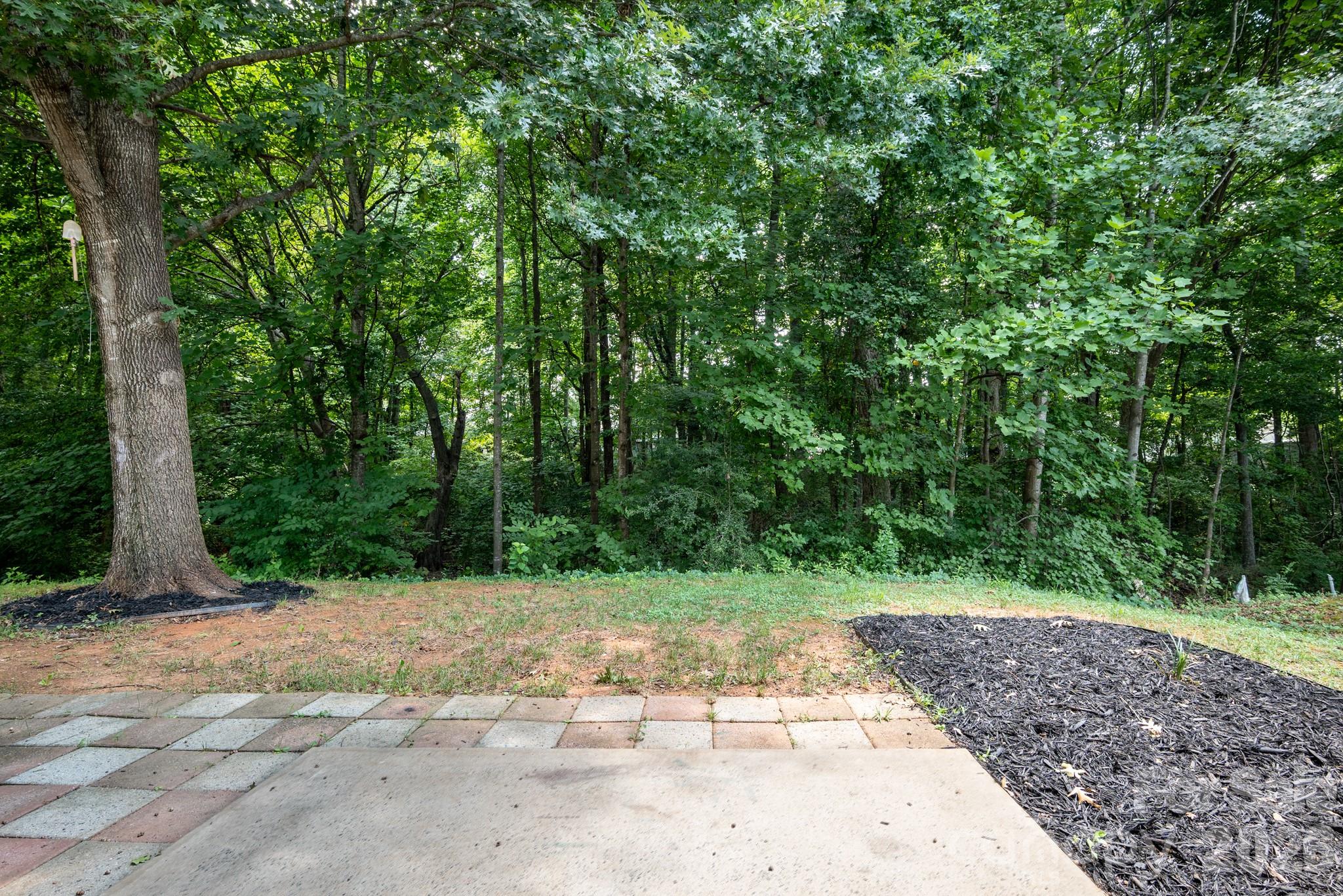 9153 Glenashley Drive Property Photo 17
