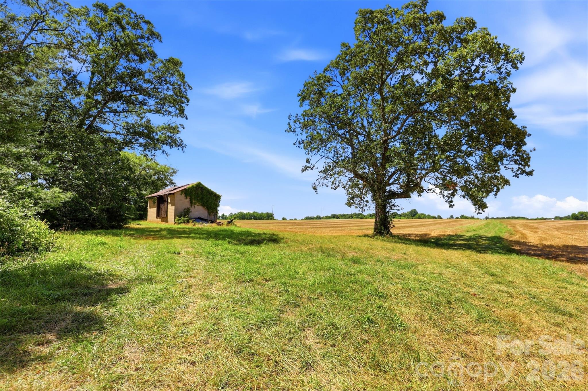 4770 W Nc 10 Highway Property Photo 8