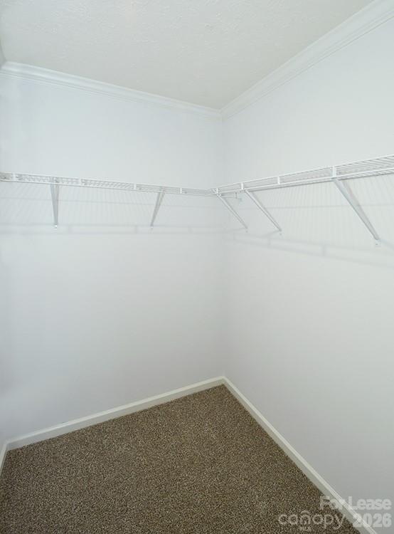 5433 King Wilkinson Road Property Photo 17