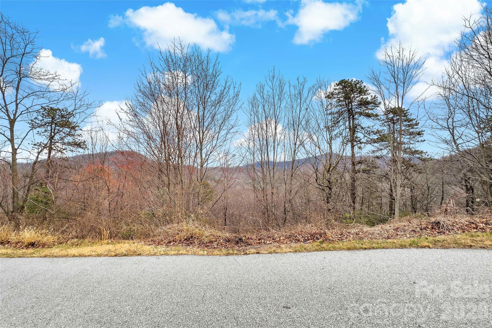 230 Catawba Falls Parkway Property Photo 2