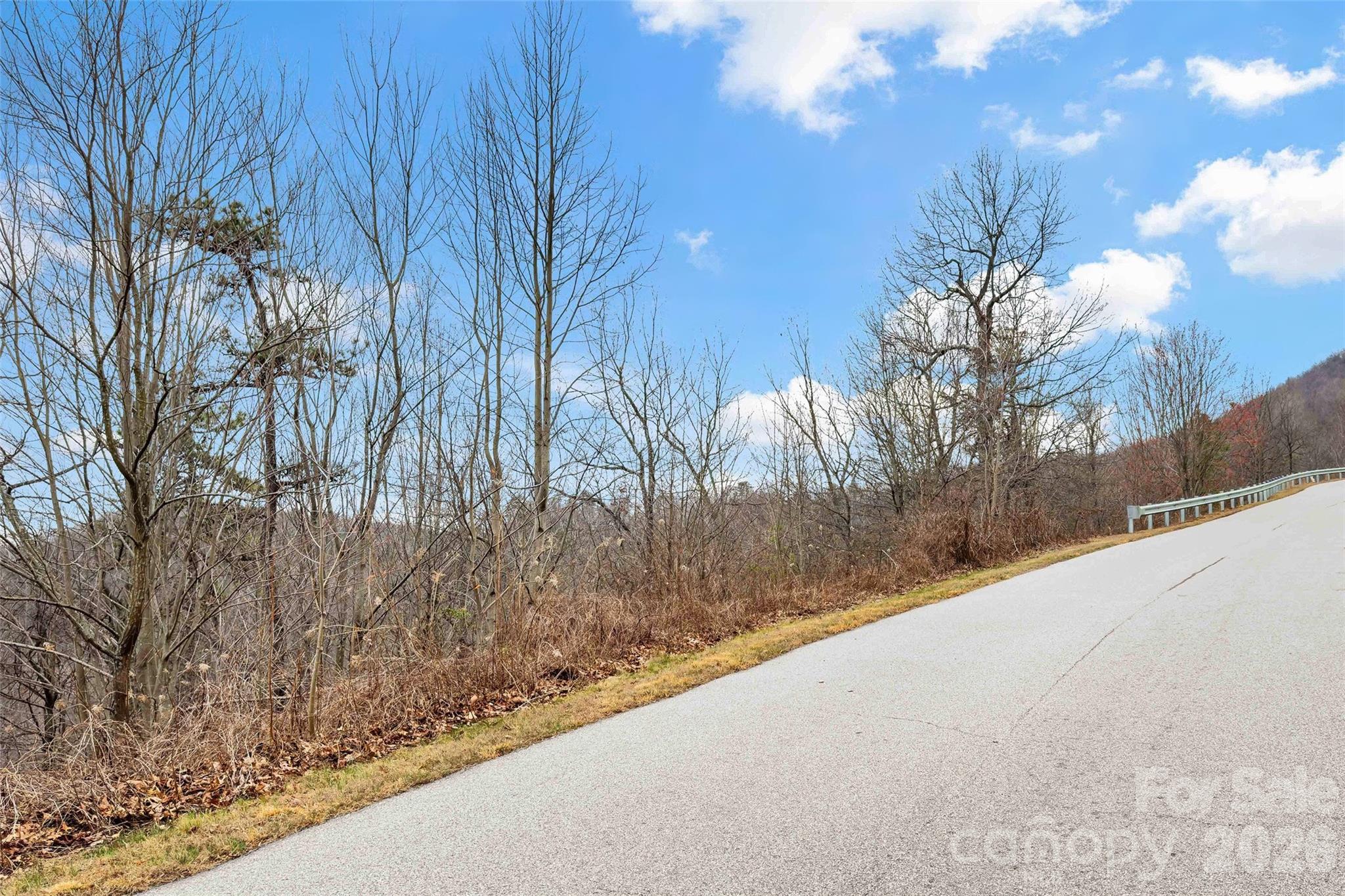 230 Catawba Falls Parkway Property Photo 4