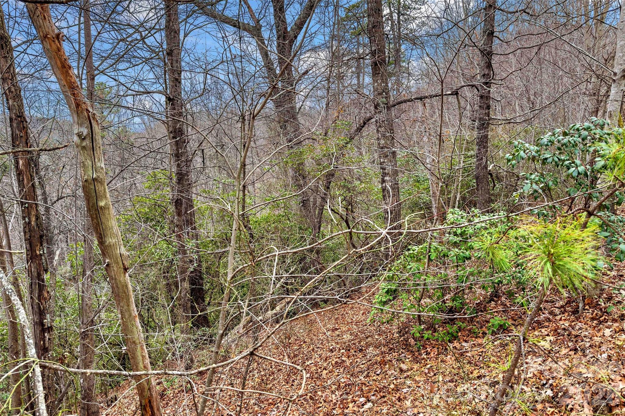230 Catawba Falls Parkway Property Photo 6