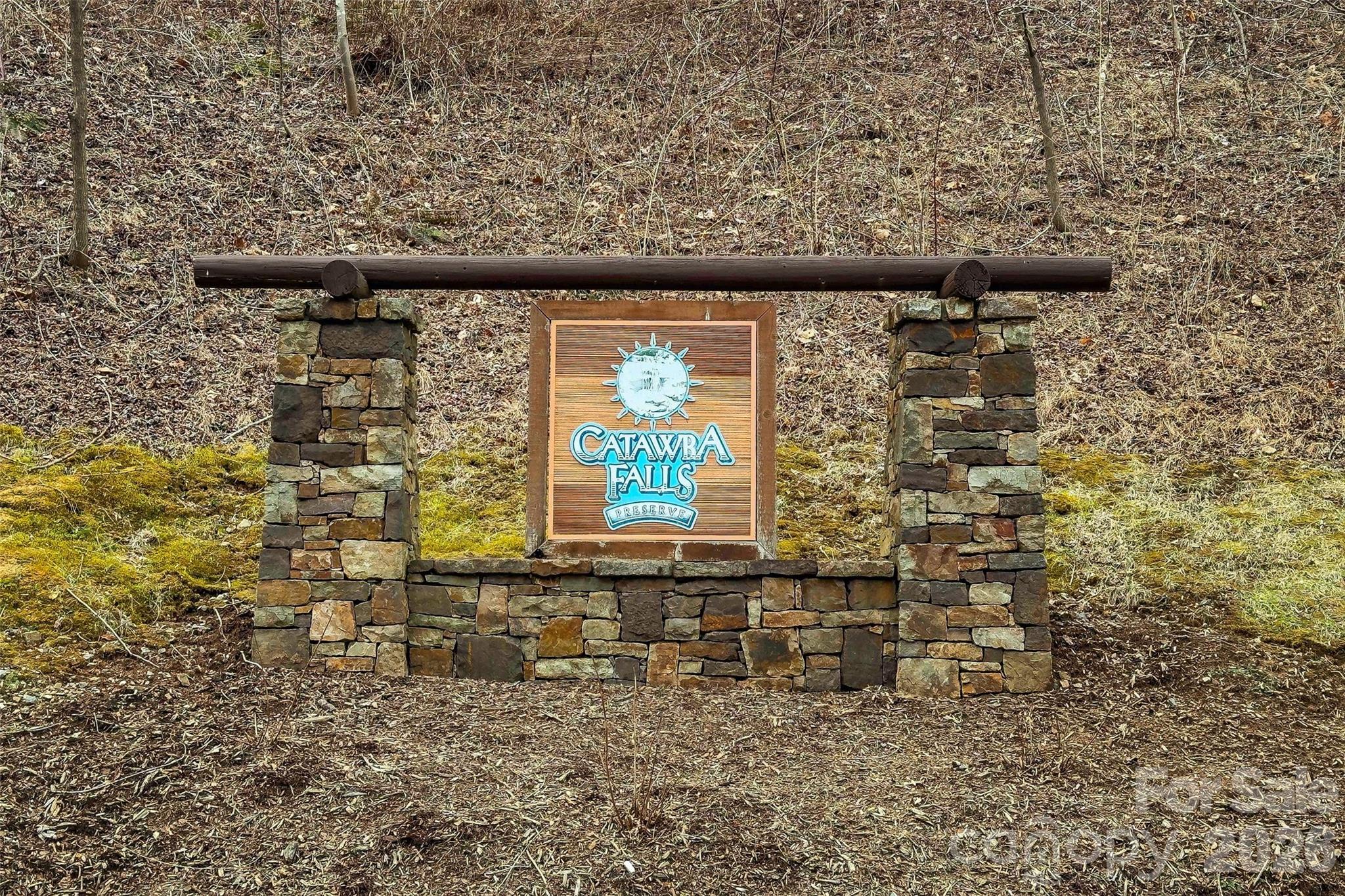 230 Catawba Falls Parkway Property Photo 7