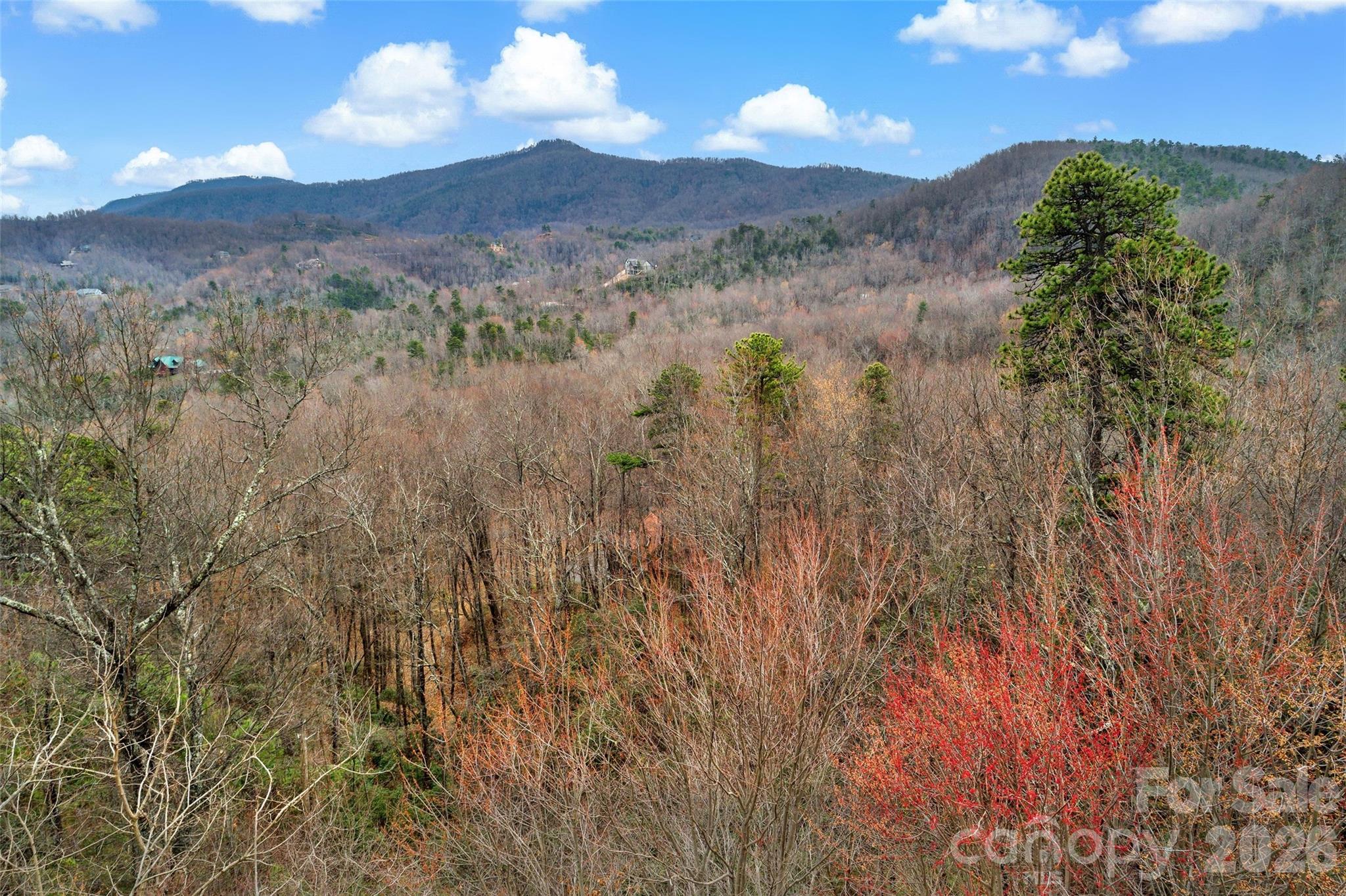 230 Catawba Falls Parkway Property Photo 10