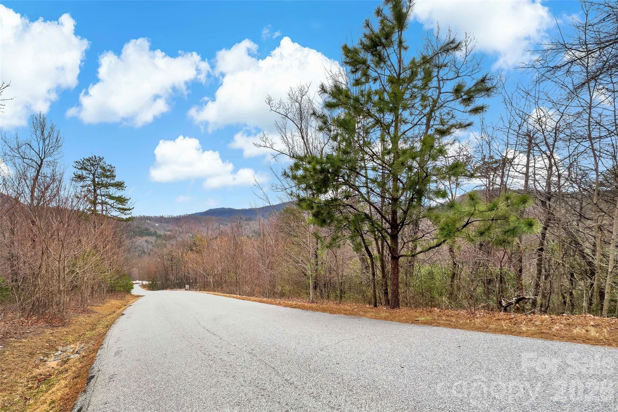 230 Catawba Falls Parkway Property Photo 11