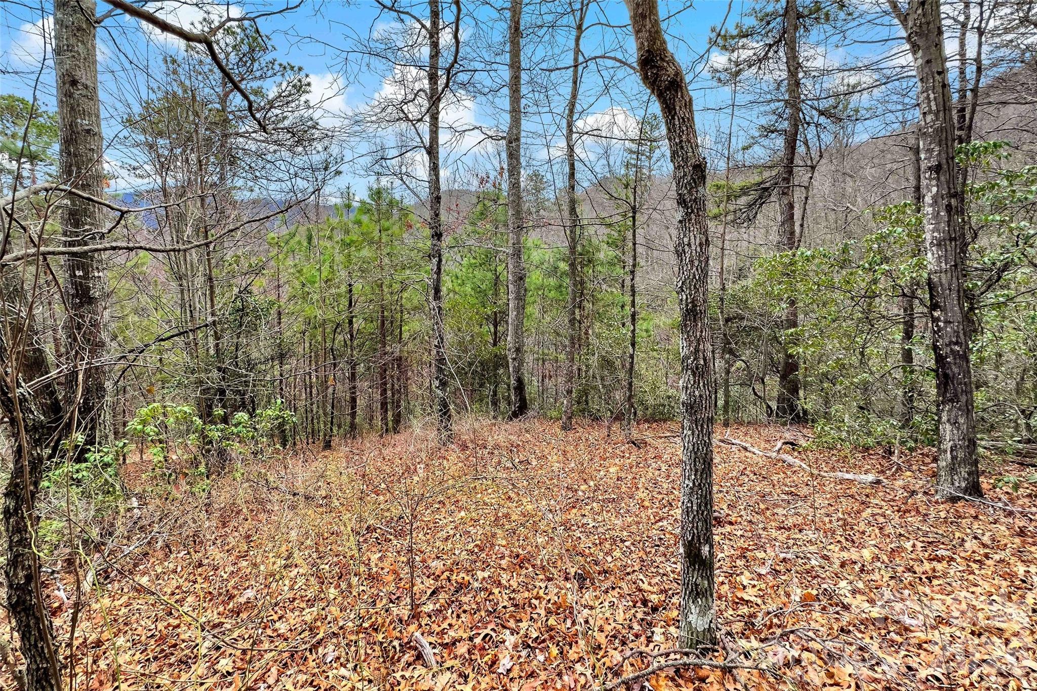 230 Catawba Falls Parkway Property Photo 12