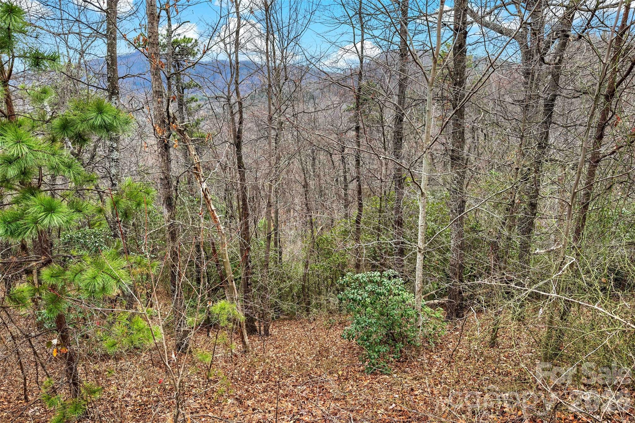230 Catawba Falls Parkway Property Photo 13