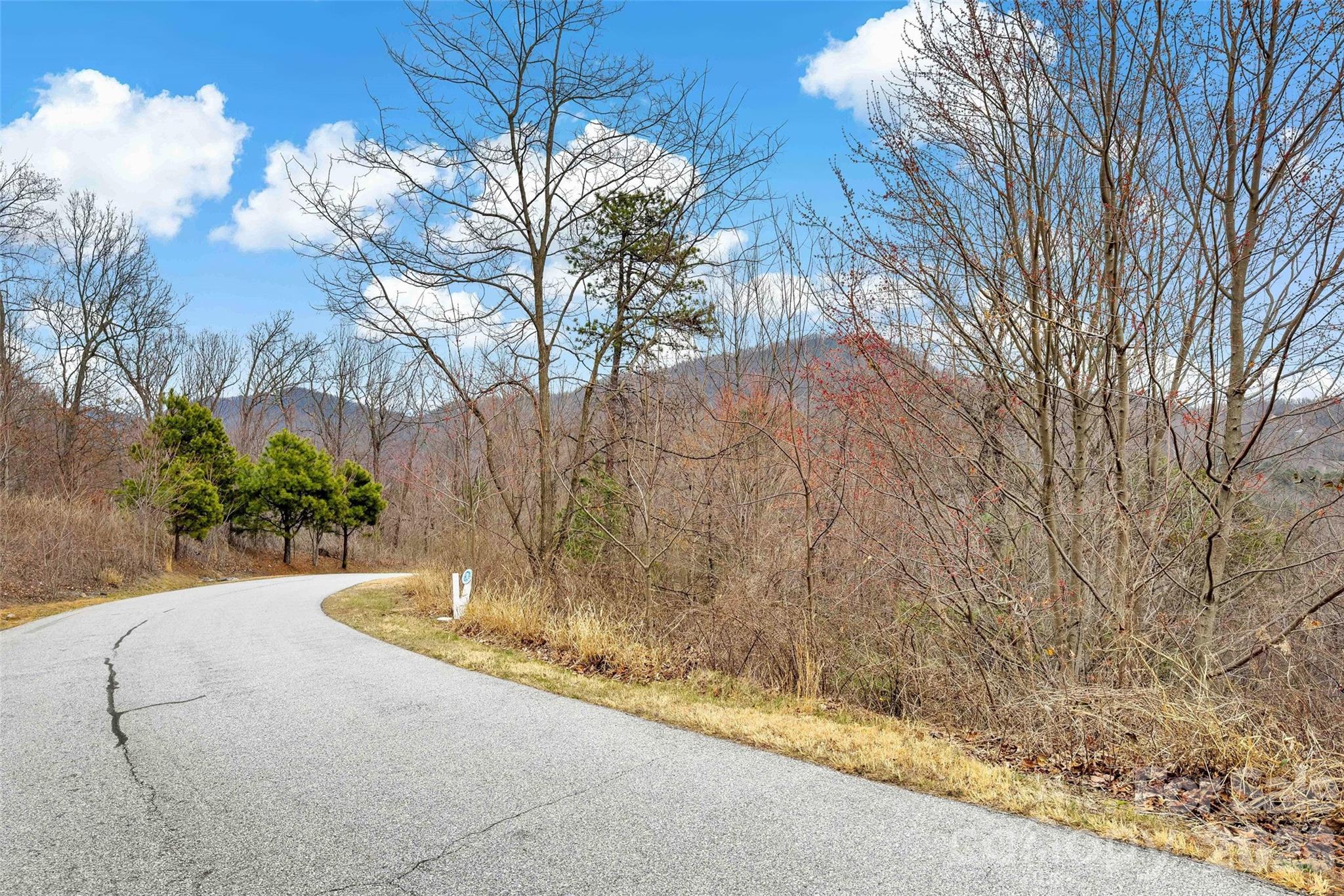 230 Catawba Falls Parkway Property Photo 14