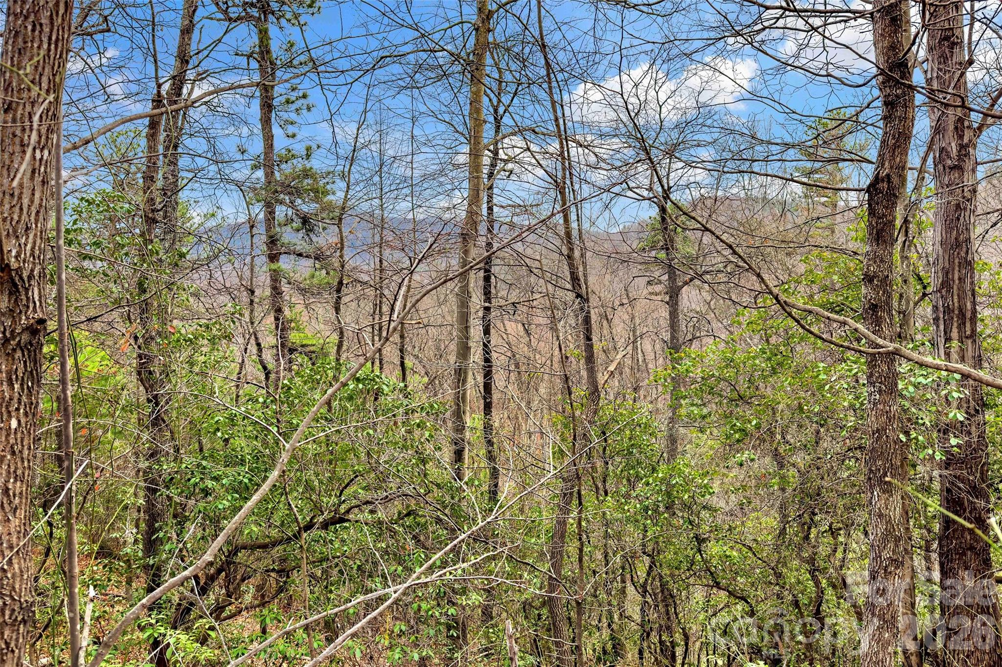 230 Catawba Falls Parkway Property Photo 15