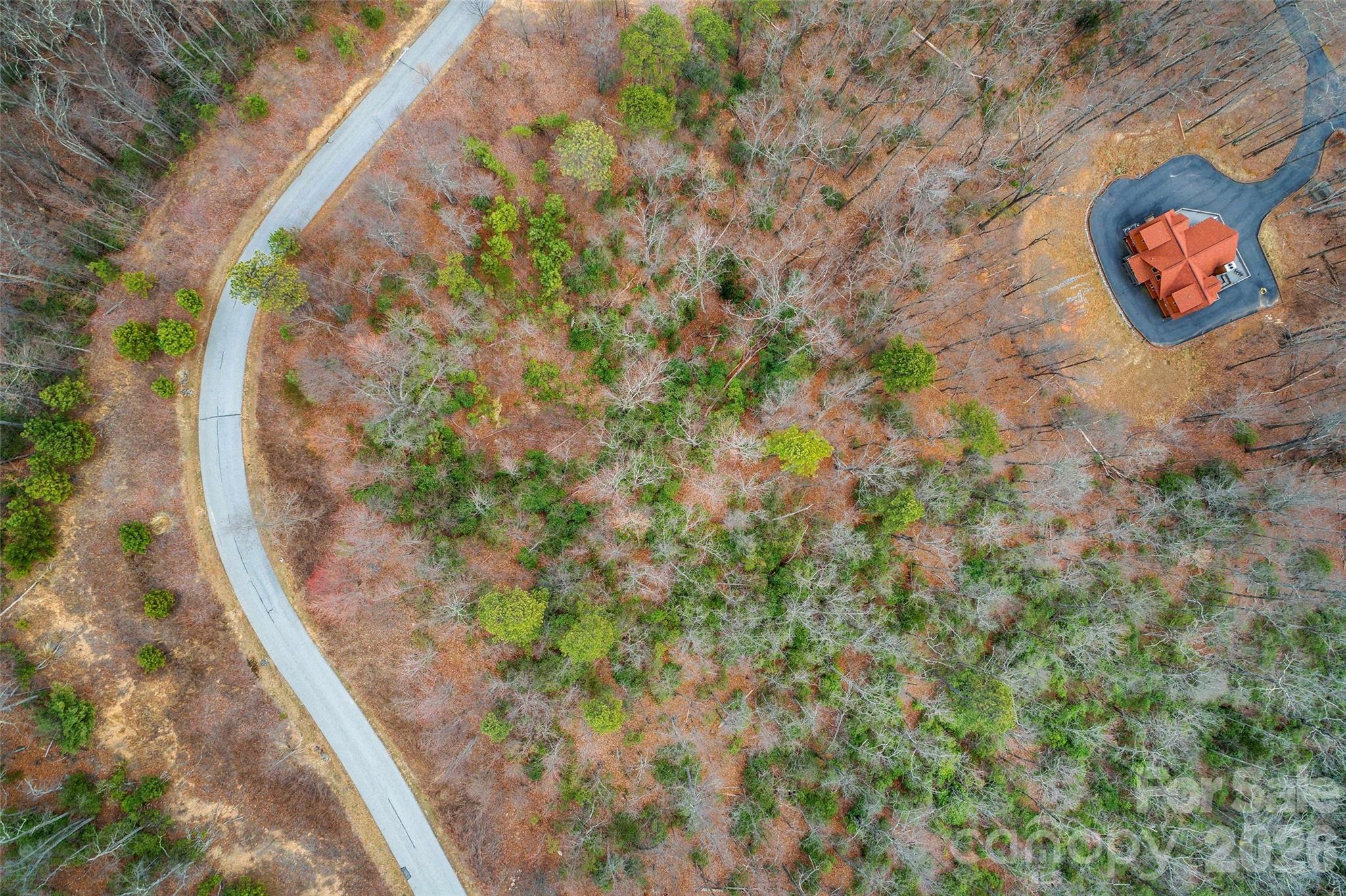 230 Catawba Falls Parkway Property Photo 17