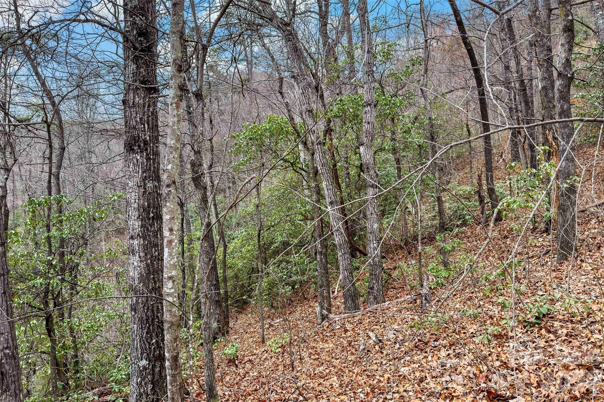 230 Catawba Falls Parkway Property Photo 19